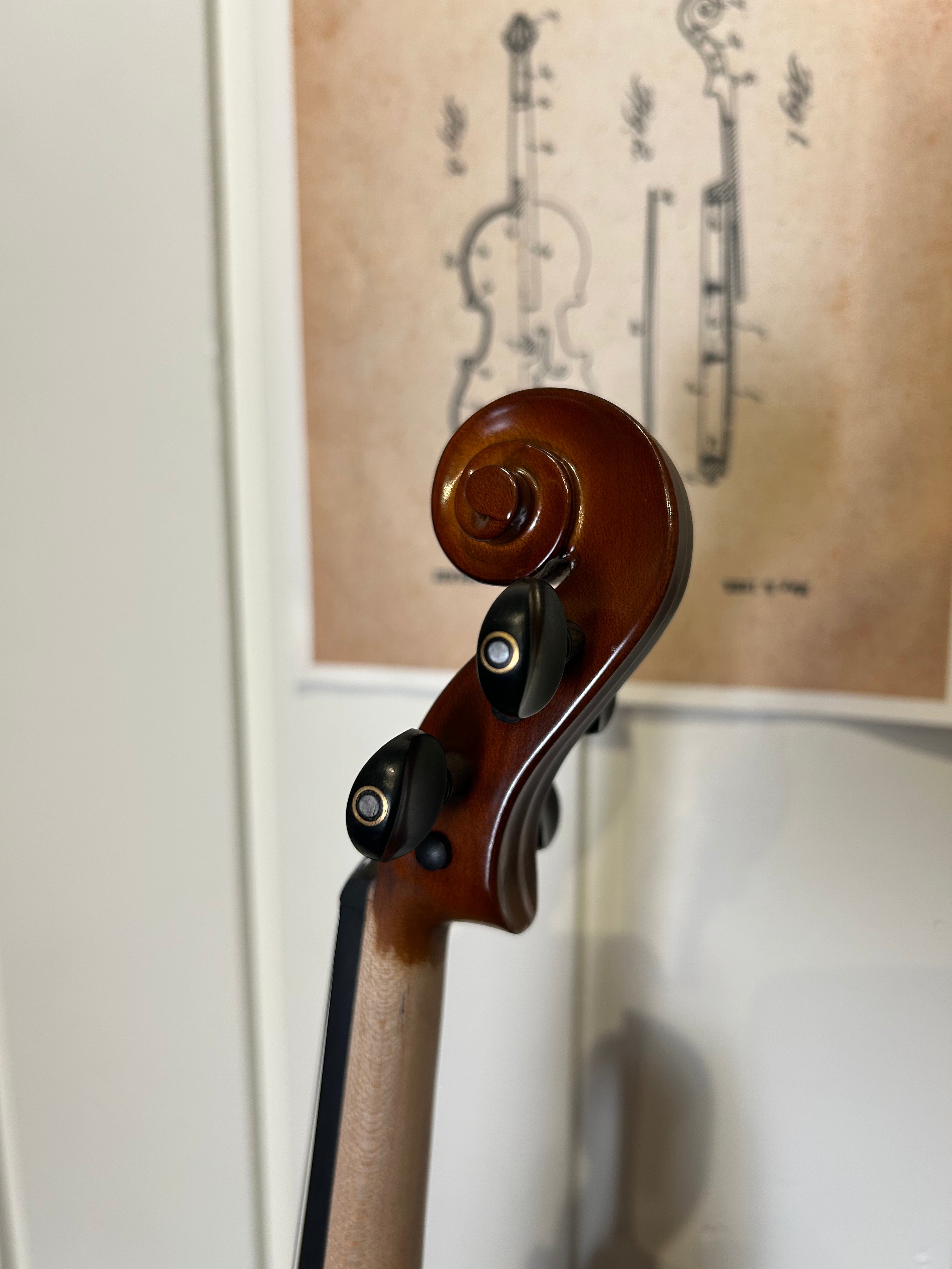 Starter 1/2 Violin Outfit