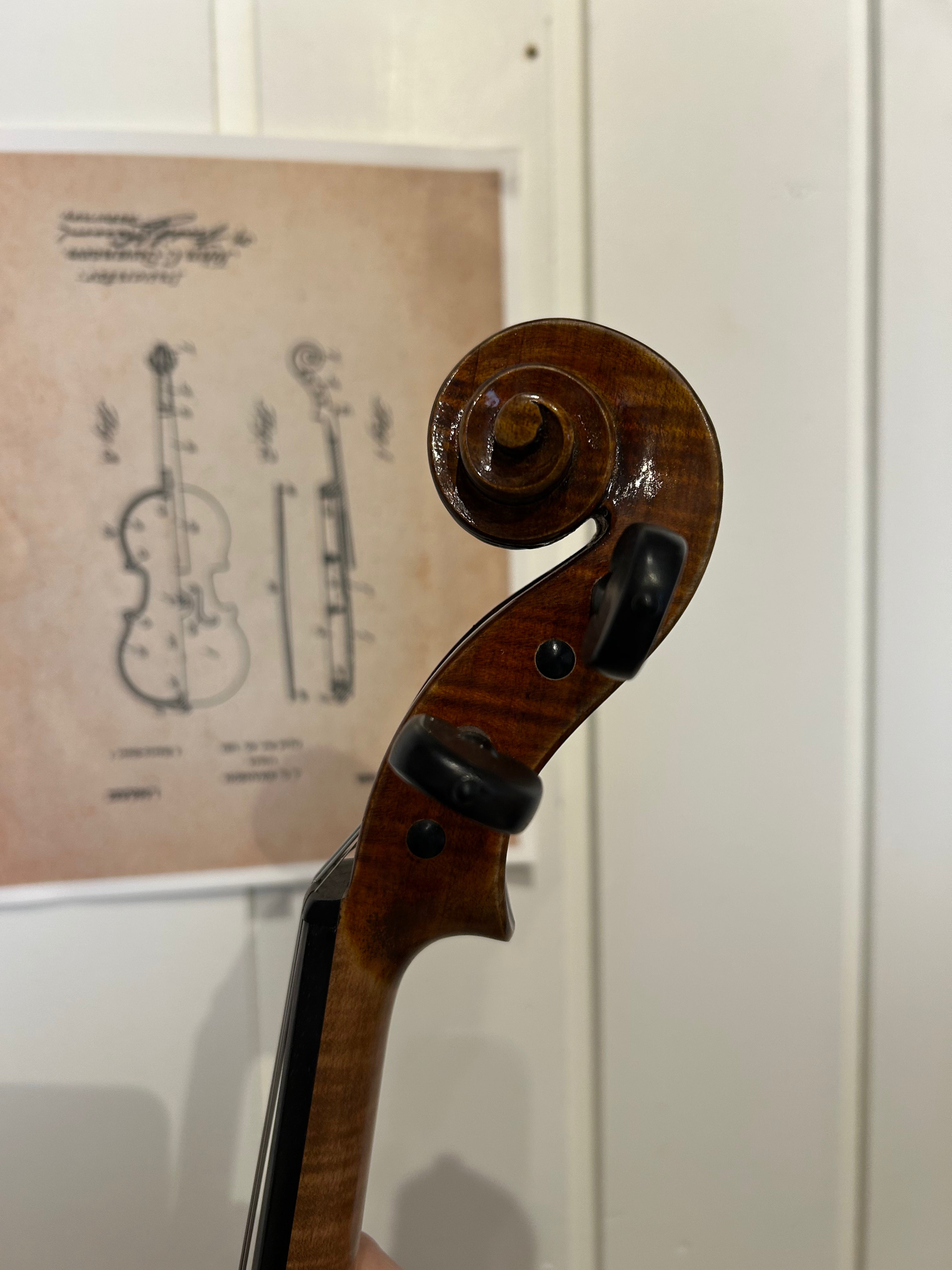 4/4 Violin Outfit - LS Model 18