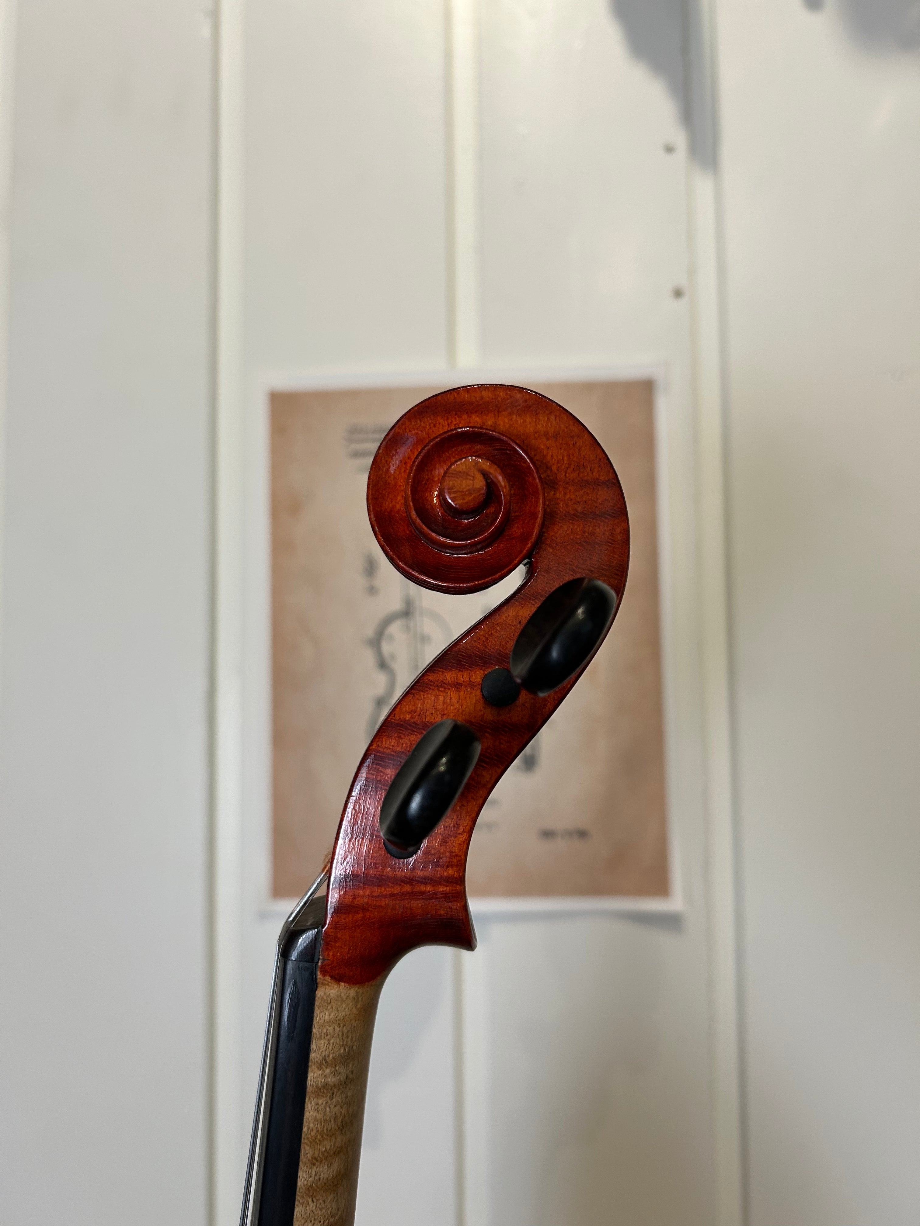 4/4 Violin - Enzo Barbieri (Italy 1991)