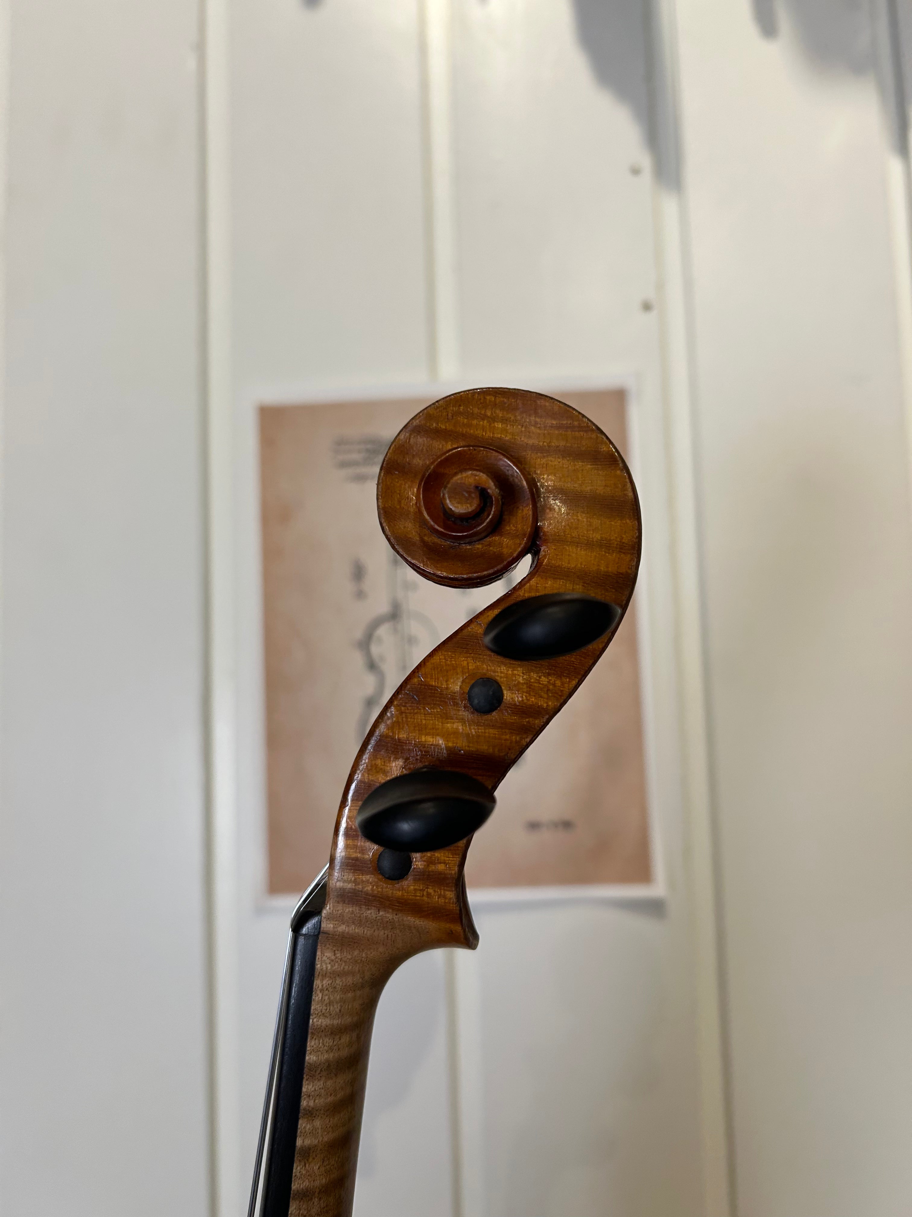 4/4 Violin Outfit - Andrea Verini (England 1891)