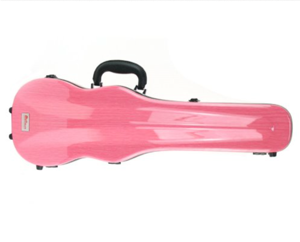 Violin Case - Mitten Bach