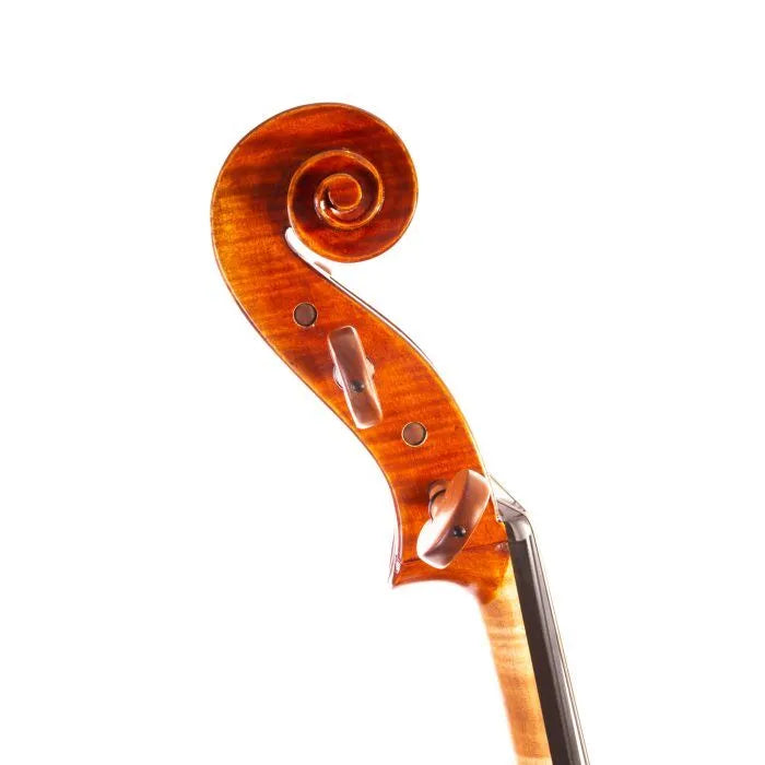 4/4 Cello Outfit - Pietro Lombardi Eastman Model (anno. 2025)