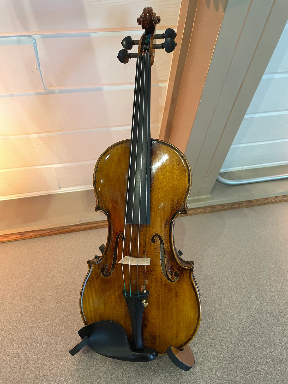 4/4 Violin Advanced Outfit