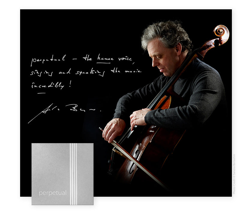 Pirastro - Perpetual | Cello