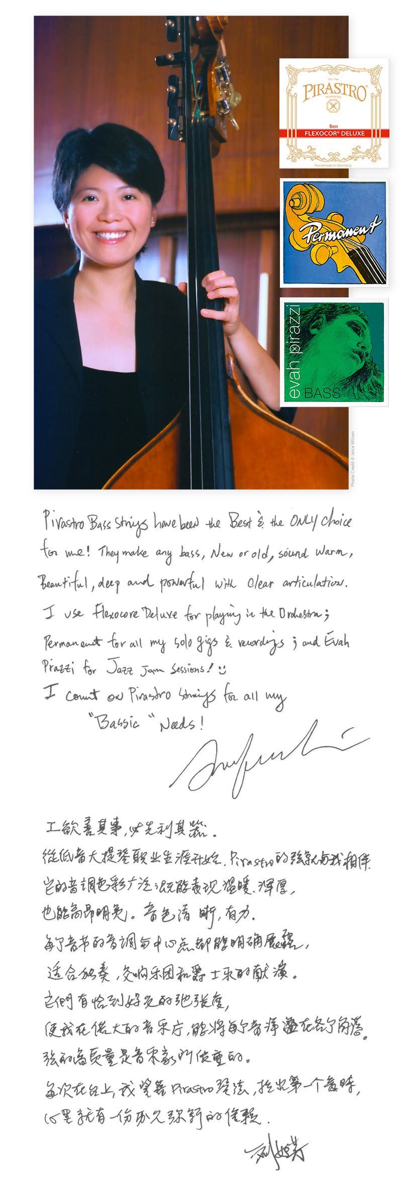 Pirastro - Flexocor Deluxe Orchestra | Double Bass