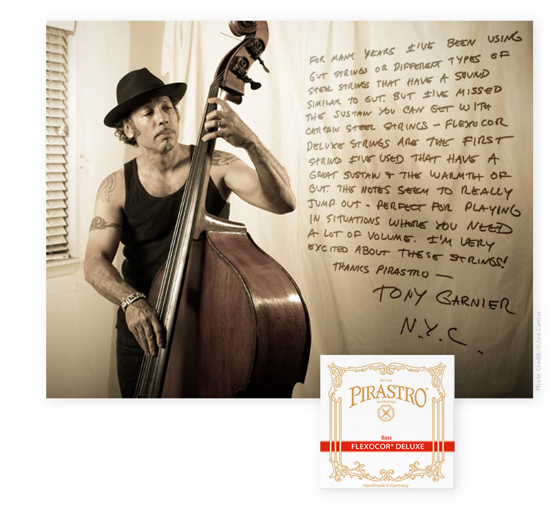 Pirastro - Flexocor Deluxe Orchestra | Double Bass