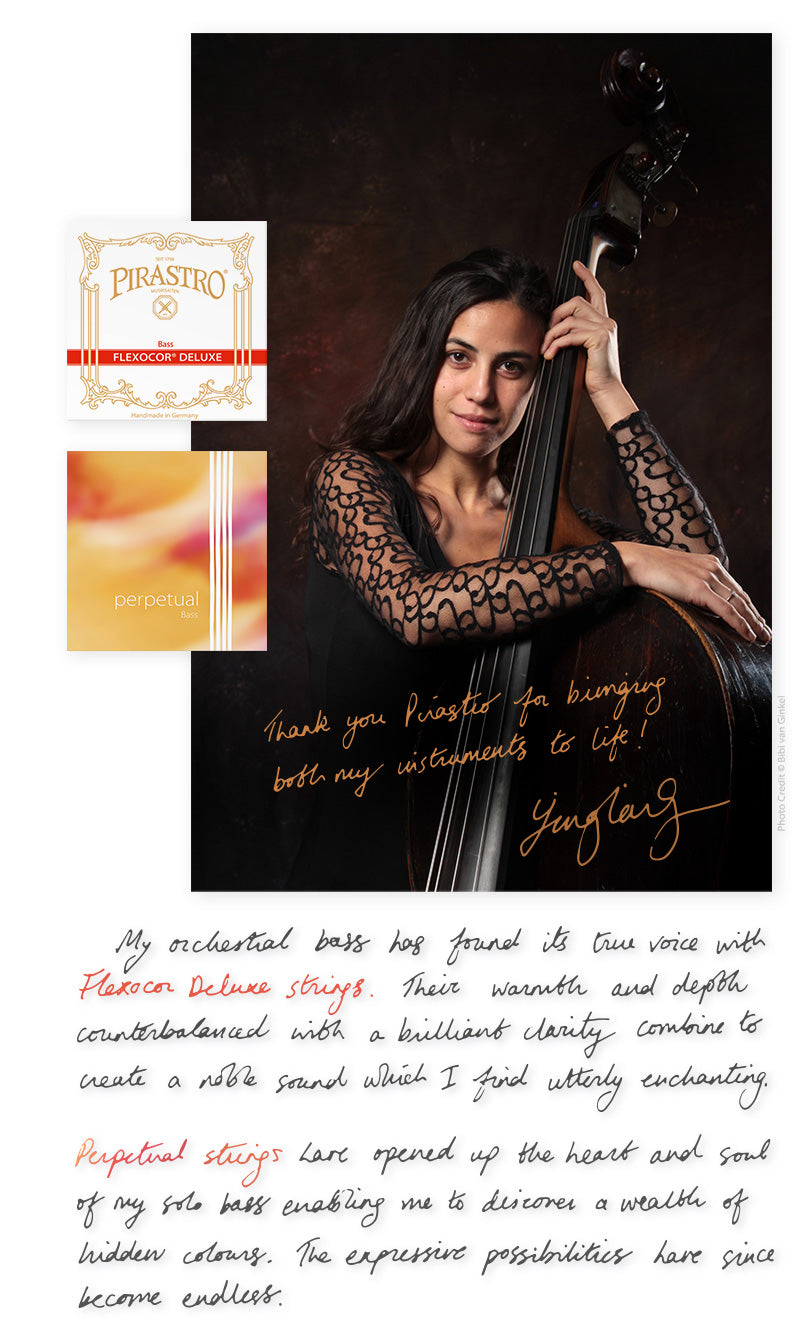 Pirastro - Flexocor Deluxe Orchestra | Double Bass