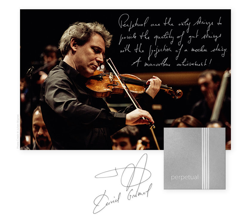 Pirastro - Perpetual | Violin