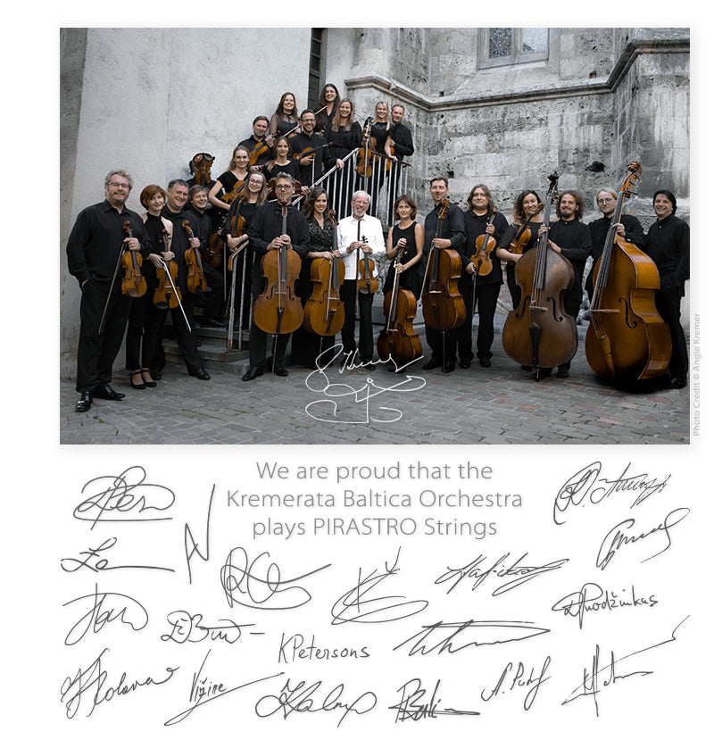 Pirastro - Perpetual | Violin