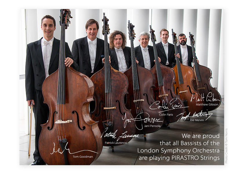 Pirastro - Flexocor Deluxe Orchestra | Double Bass