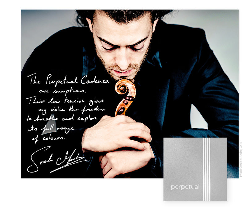 Pirastro - Perpetual | Violin