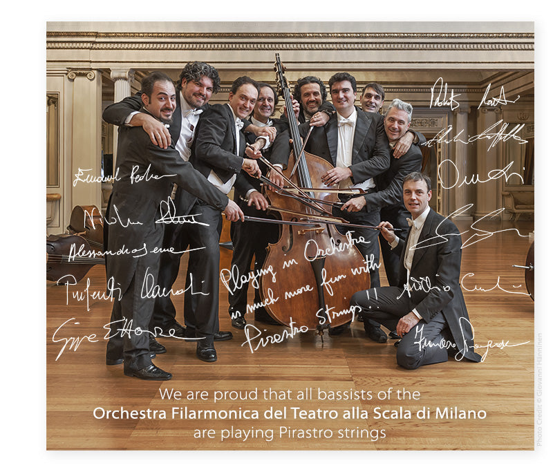 Pirastro - Flexocor Deluxe Orchestra | Double Bass