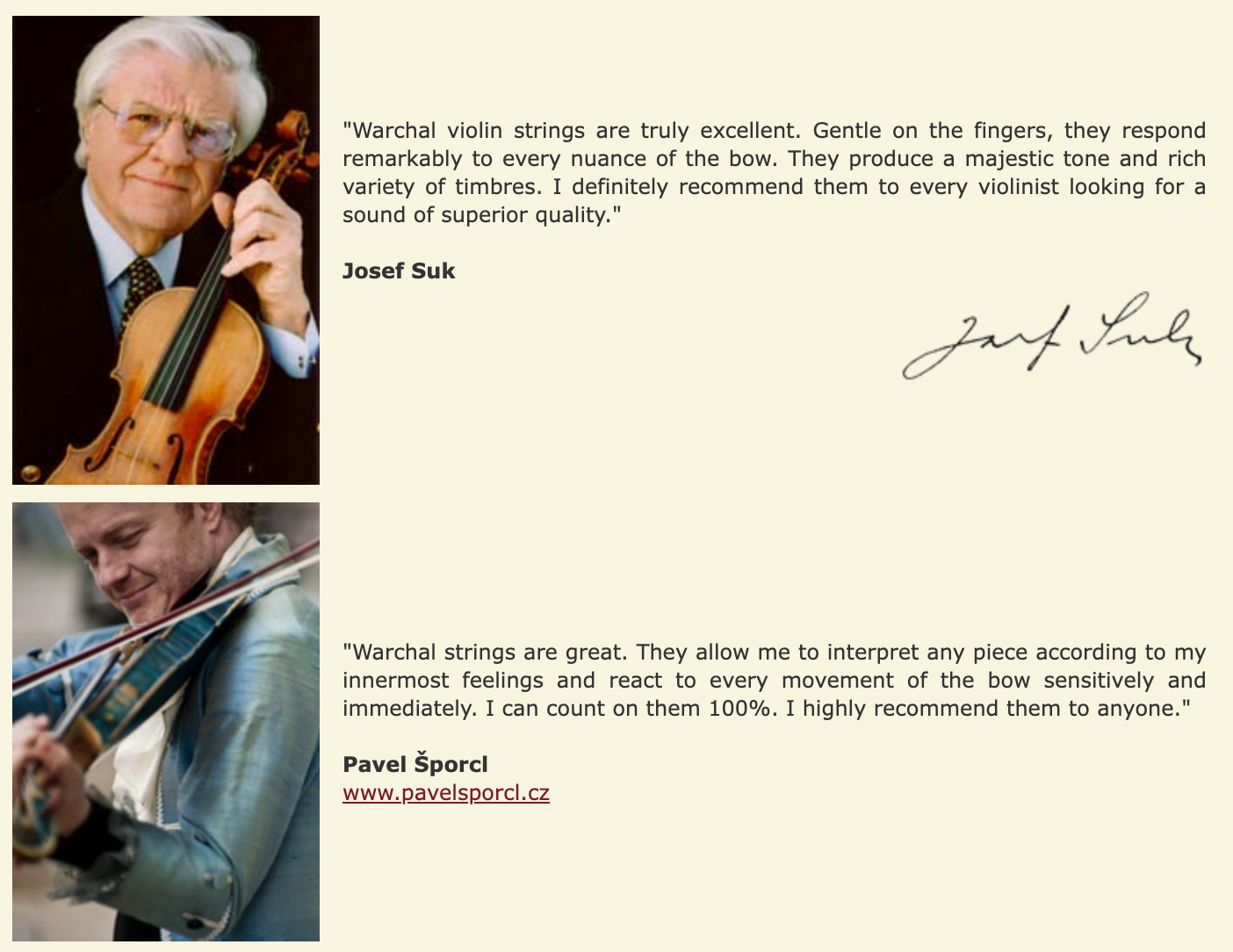 Warchal | Violin E String