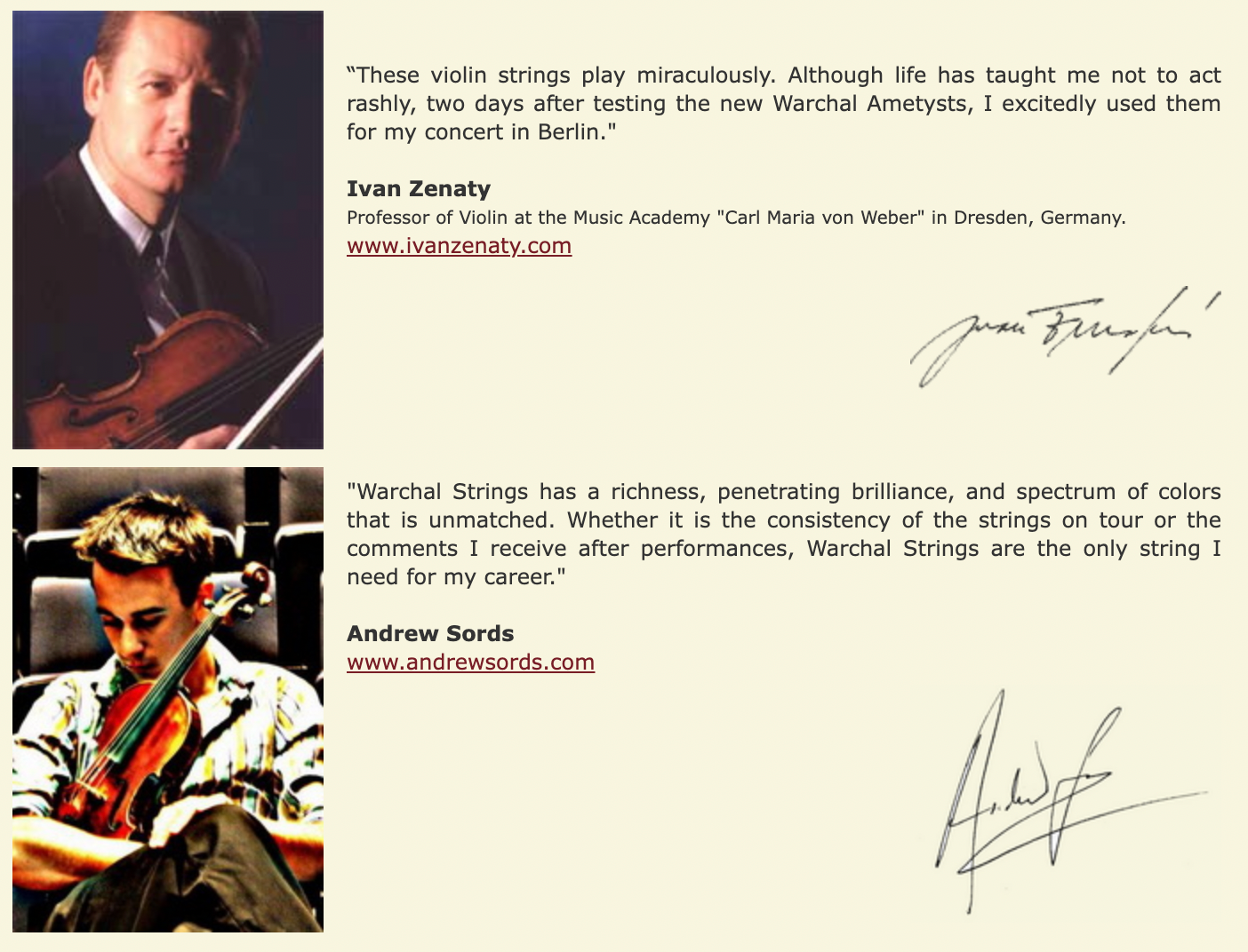 Warchal | Violin E String