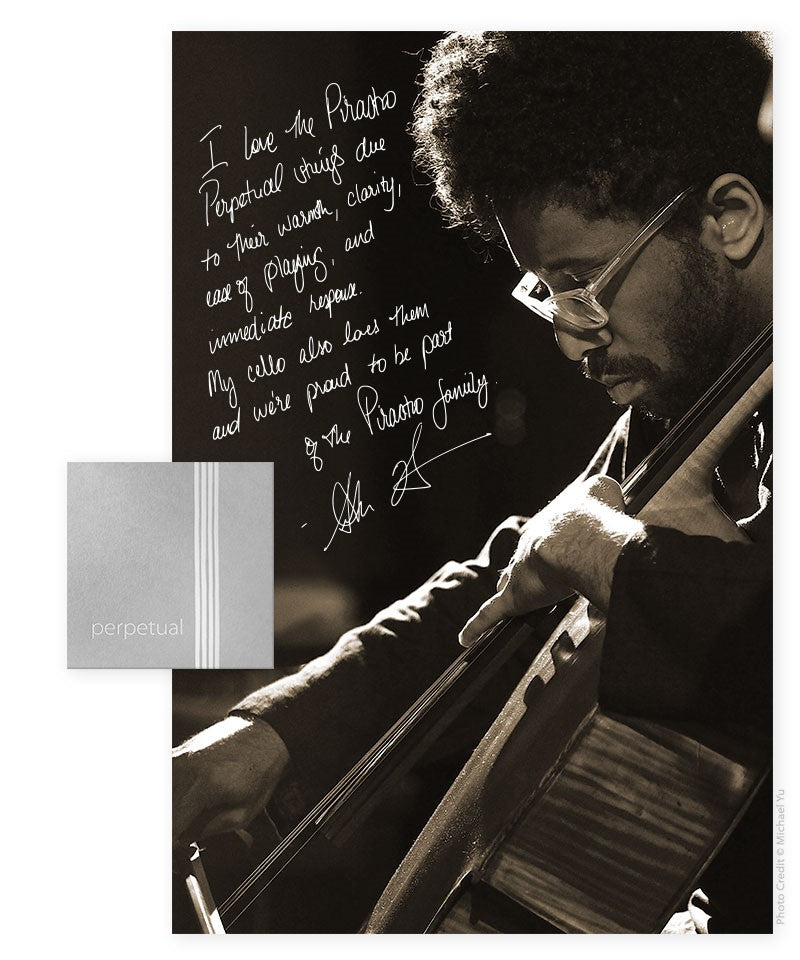 Pirastro - Perpetual | Cello