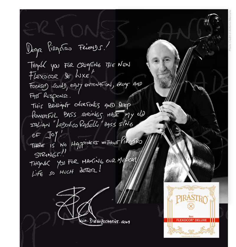 Pirastro - Flexocor Deluxe Orchestra | Double Bass