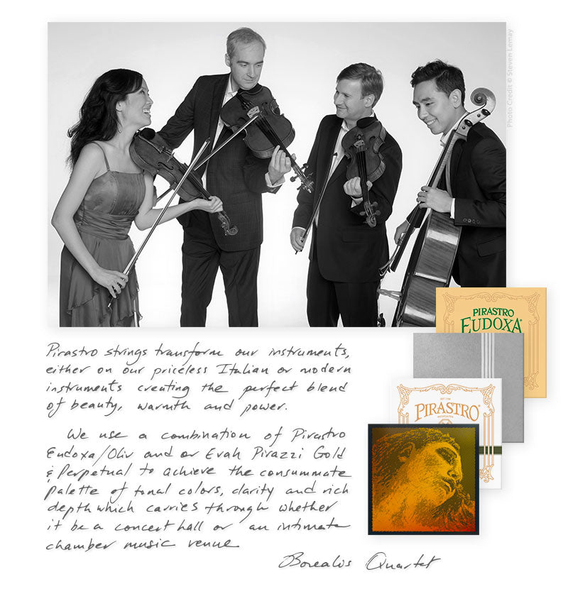 Pirastro - Perpetual | Cello