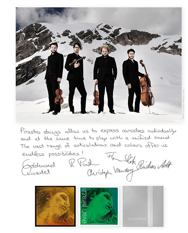Pirastro - Perpetual | Violin