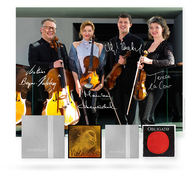 Pirastro - Obligato | Violin