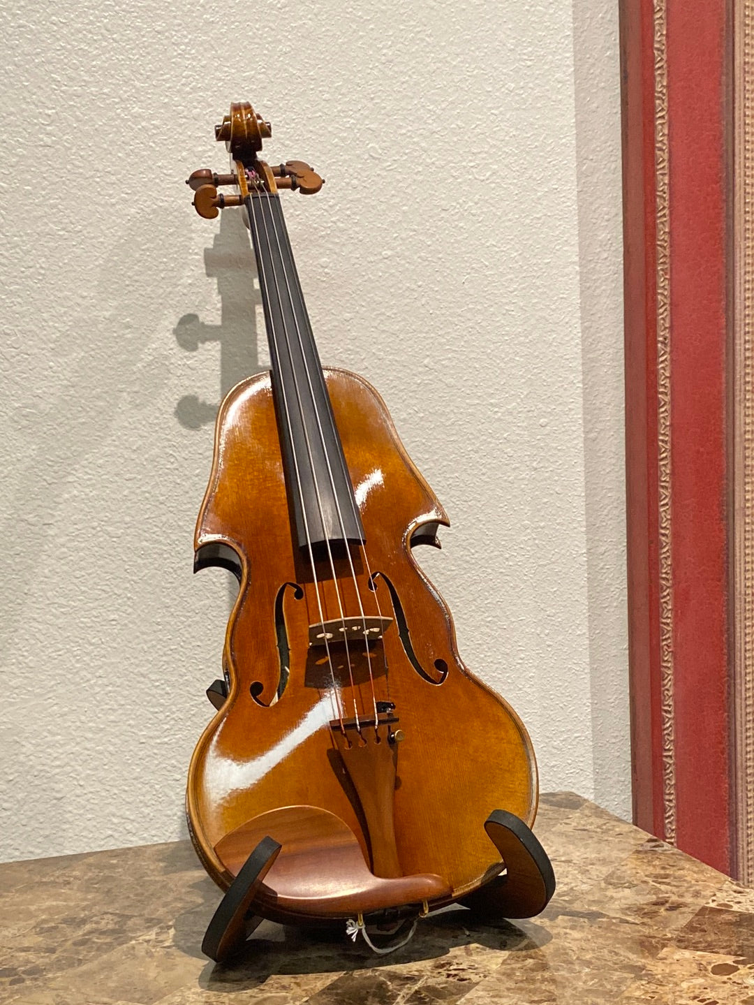 4/4 Violin Outfit - Sandro Luciano (2020)
