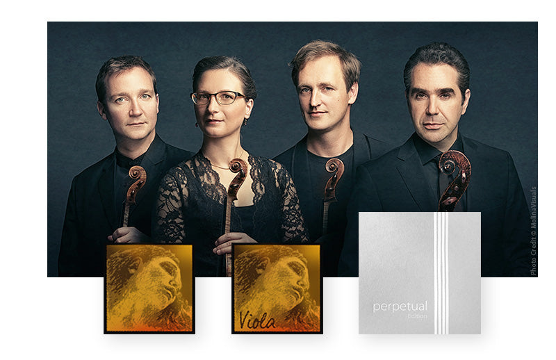 Pirastro - Evah Pirazzi Gold | Violin