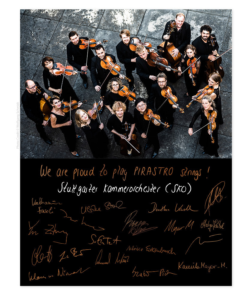 Pirastro - Evah Pirazzi | Violin