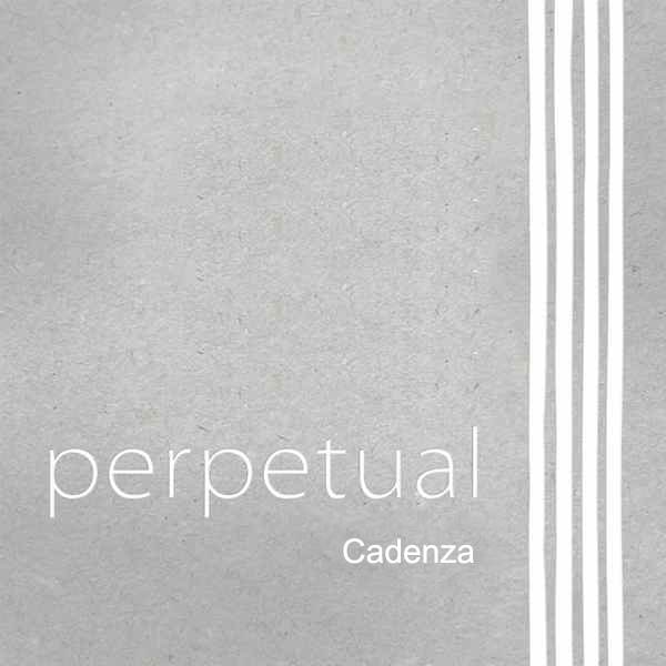 Pirastro - Perpetual Cadenza | Cello