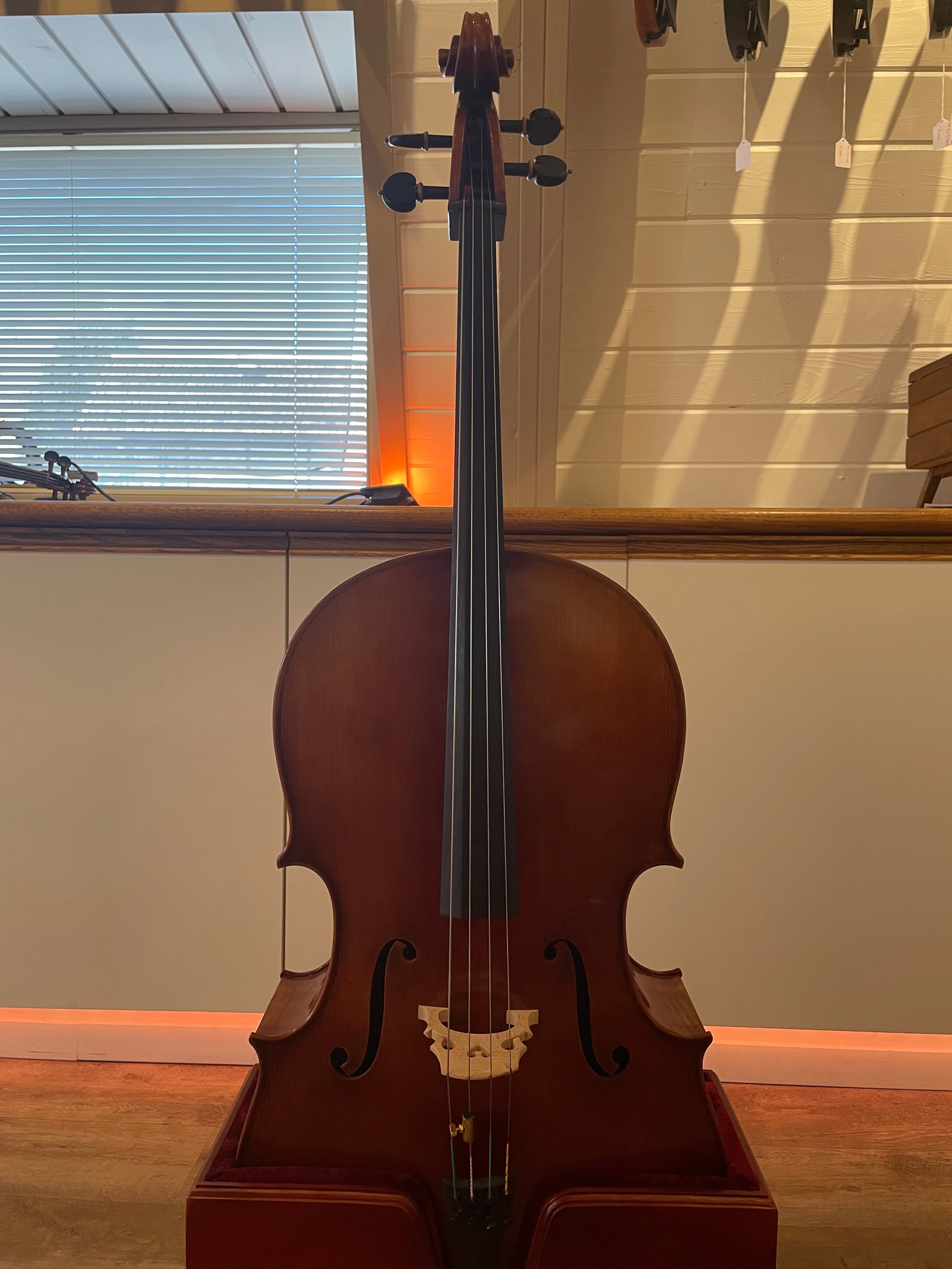 4/4 Cello Professional Outfit