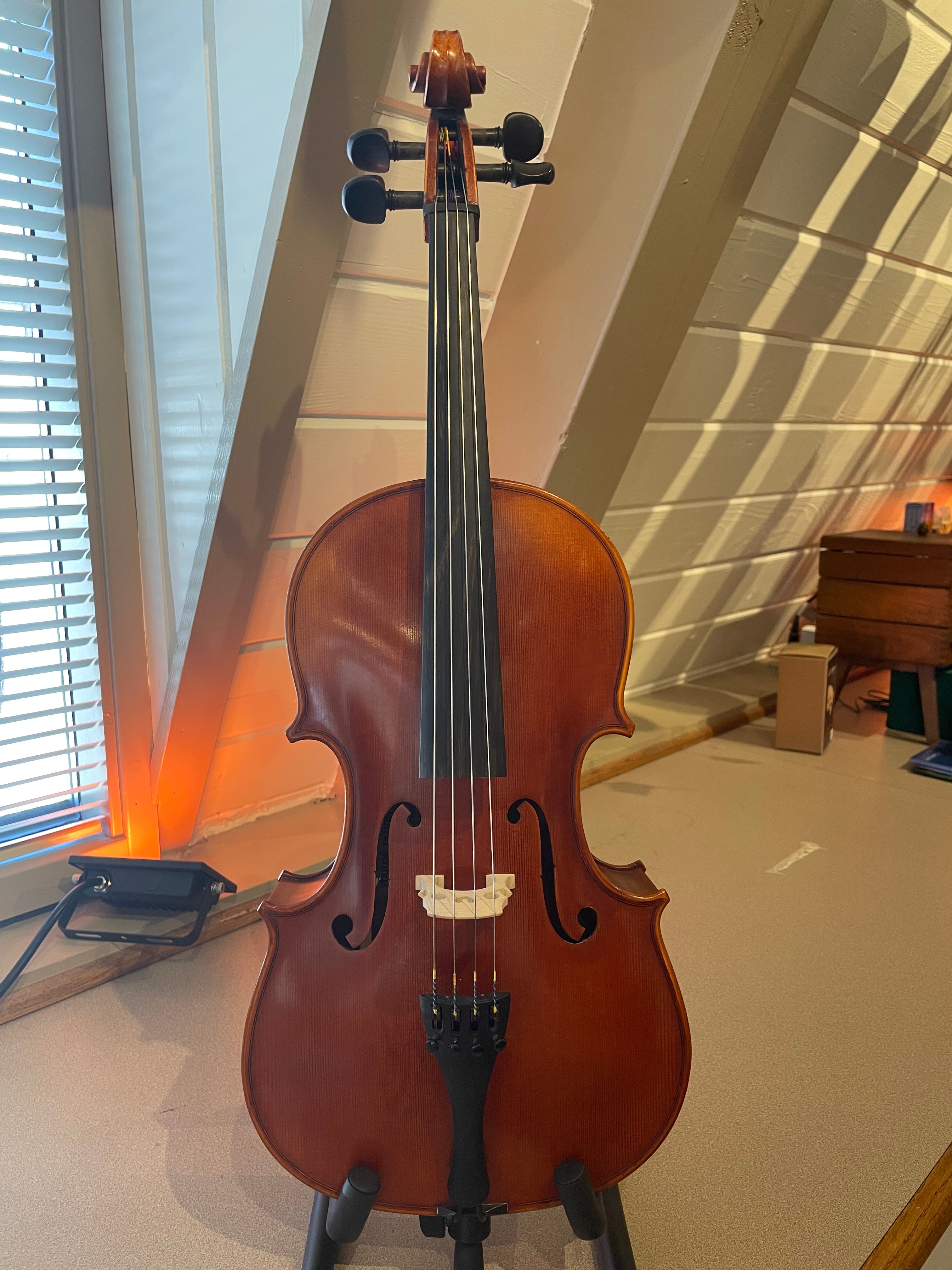 1/16 and 1/10 Cello Outfit