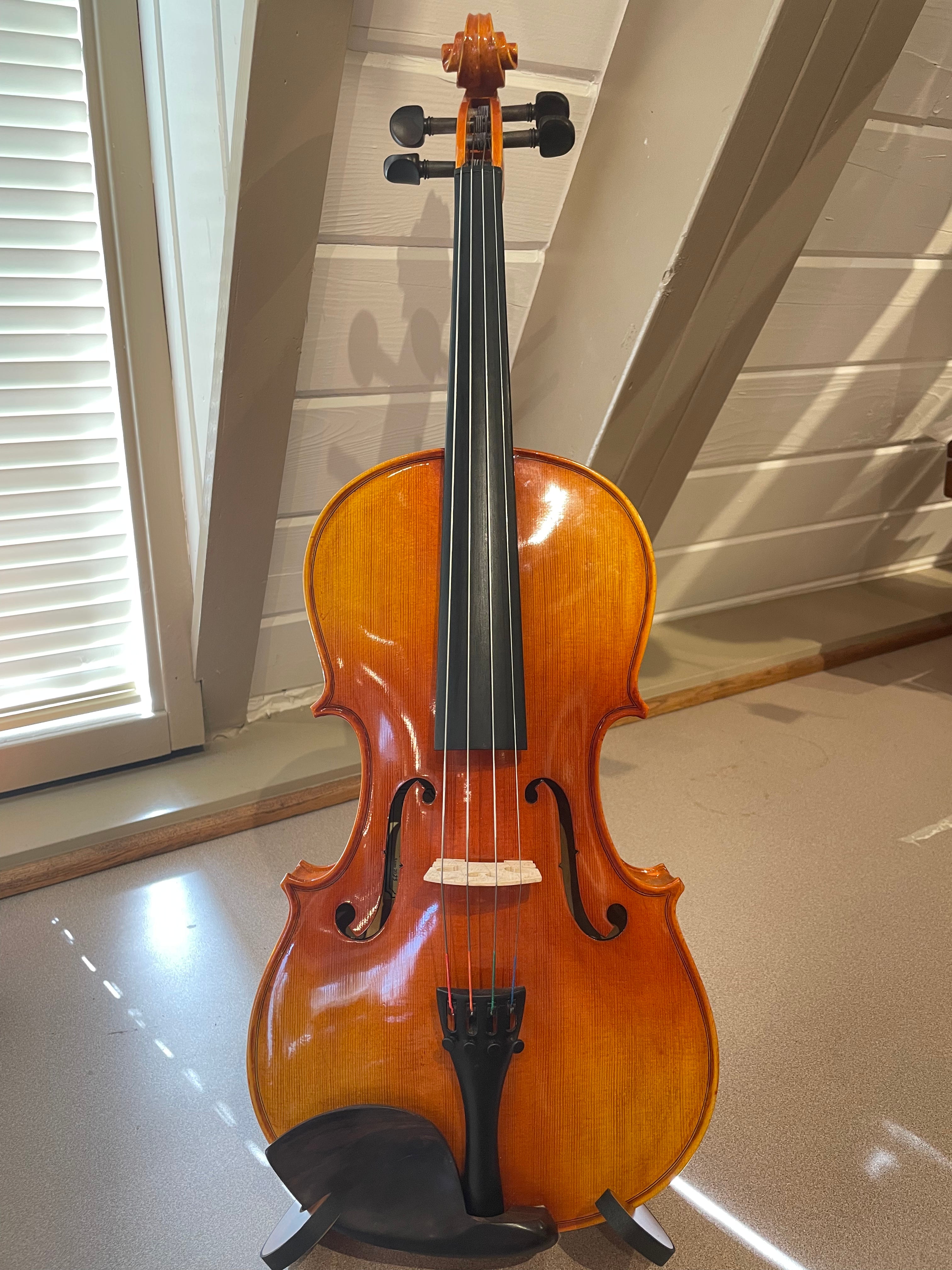 16" Viola Starter Outfit