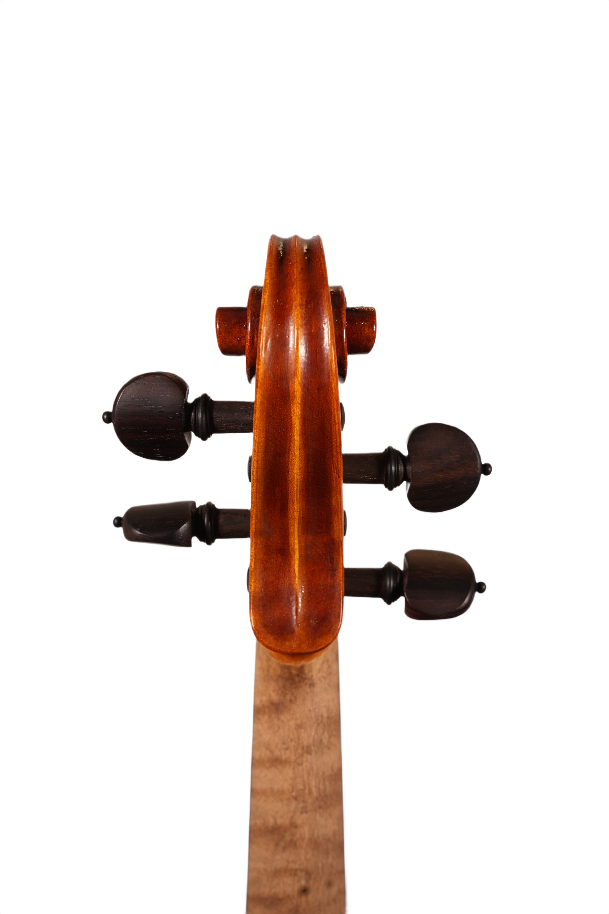 4/4 Lillo Salerno Workshop Violin Ex Cremonensis (anno 2025)
