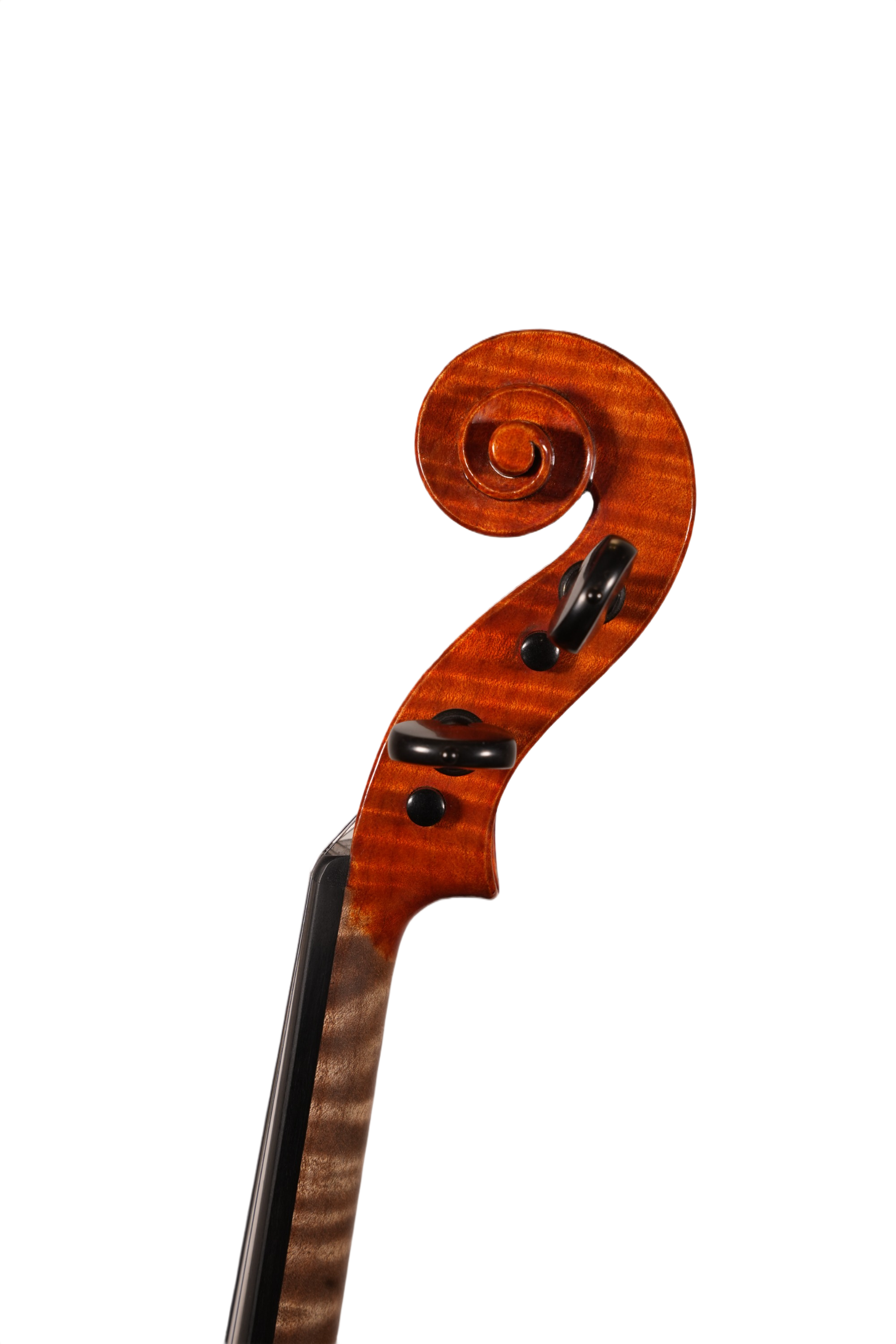 4/4 Violin Outfit - Antonio Donato (New York anno. 2018)