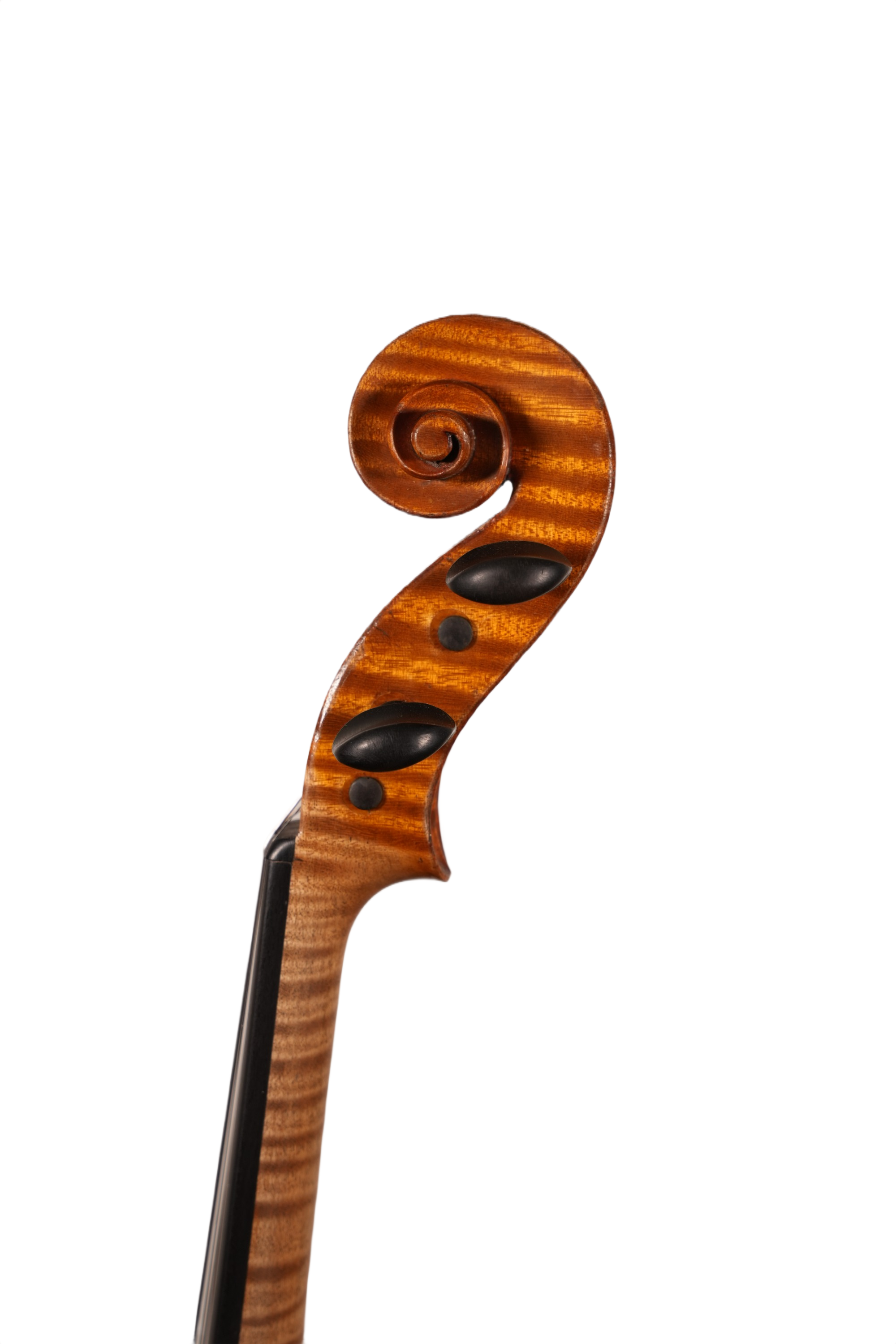 4/4 Violin Outfit - Andrea Verini (England 1891)