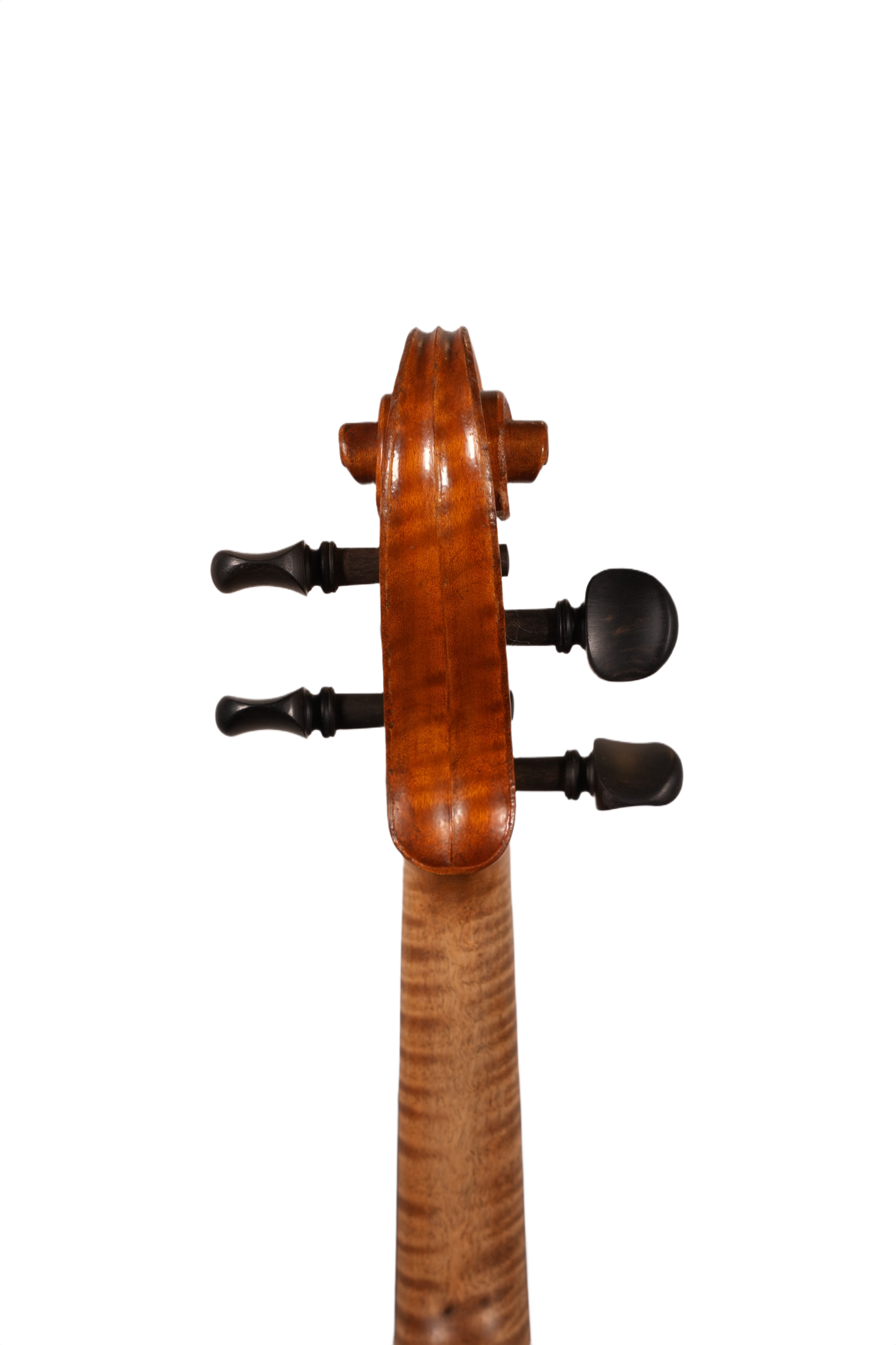 4/4 Violin Outfit - Andrea Verini (England 1891)