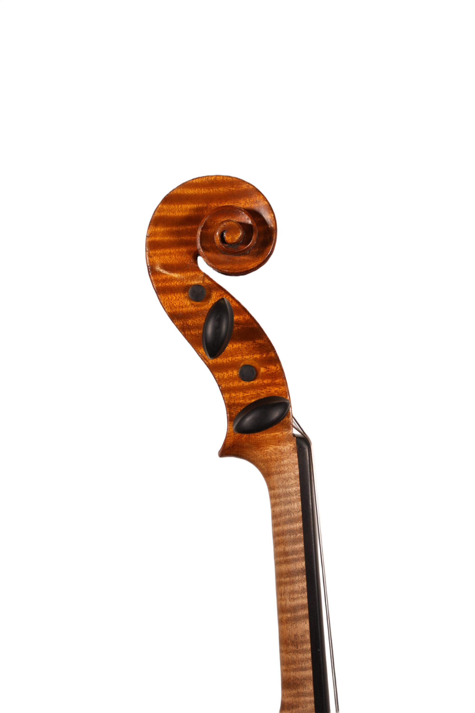 4/4 Violin Outfit - Andrea Verini (England 1891)