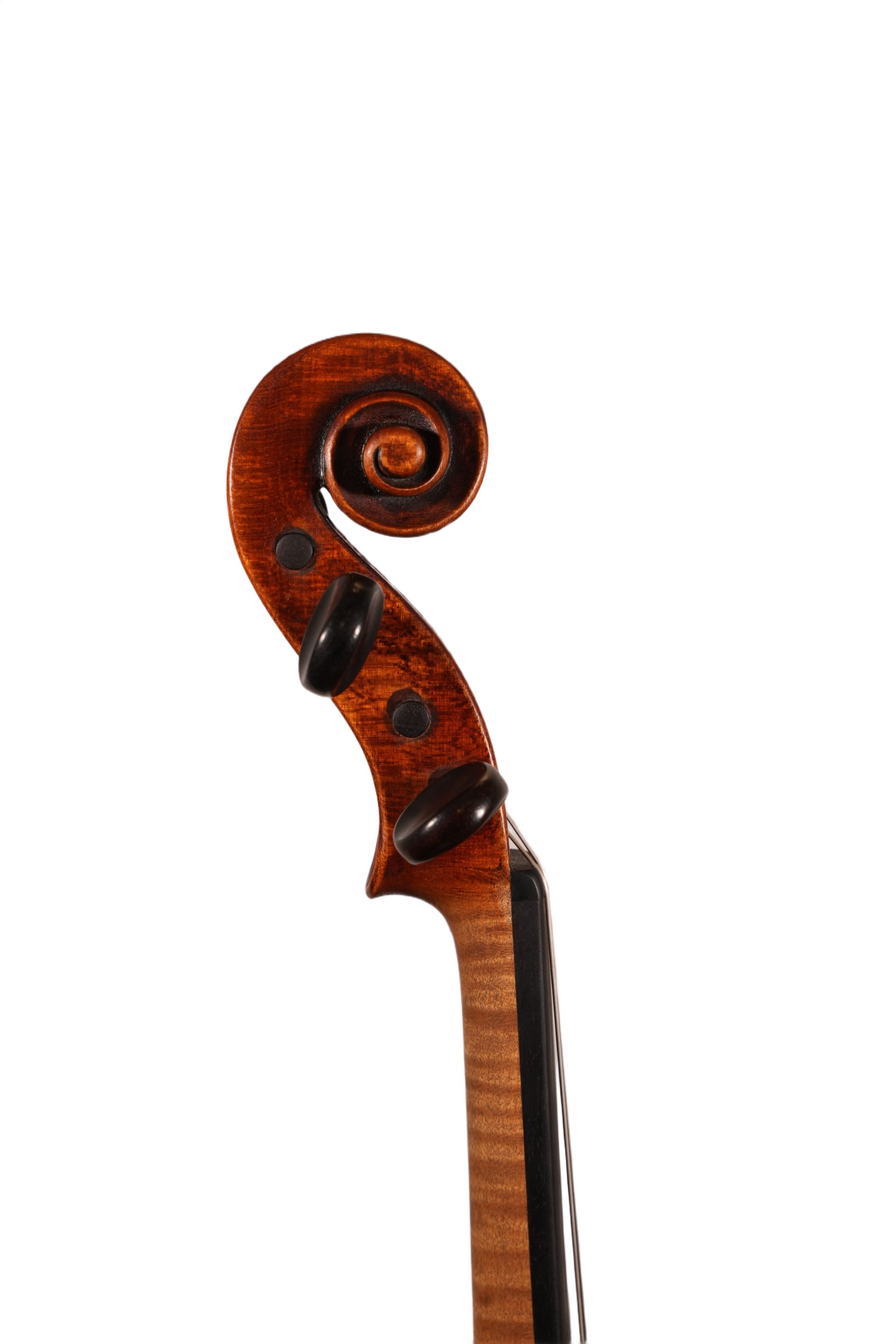4/4 Violin Outfit - Ant. Carlotti