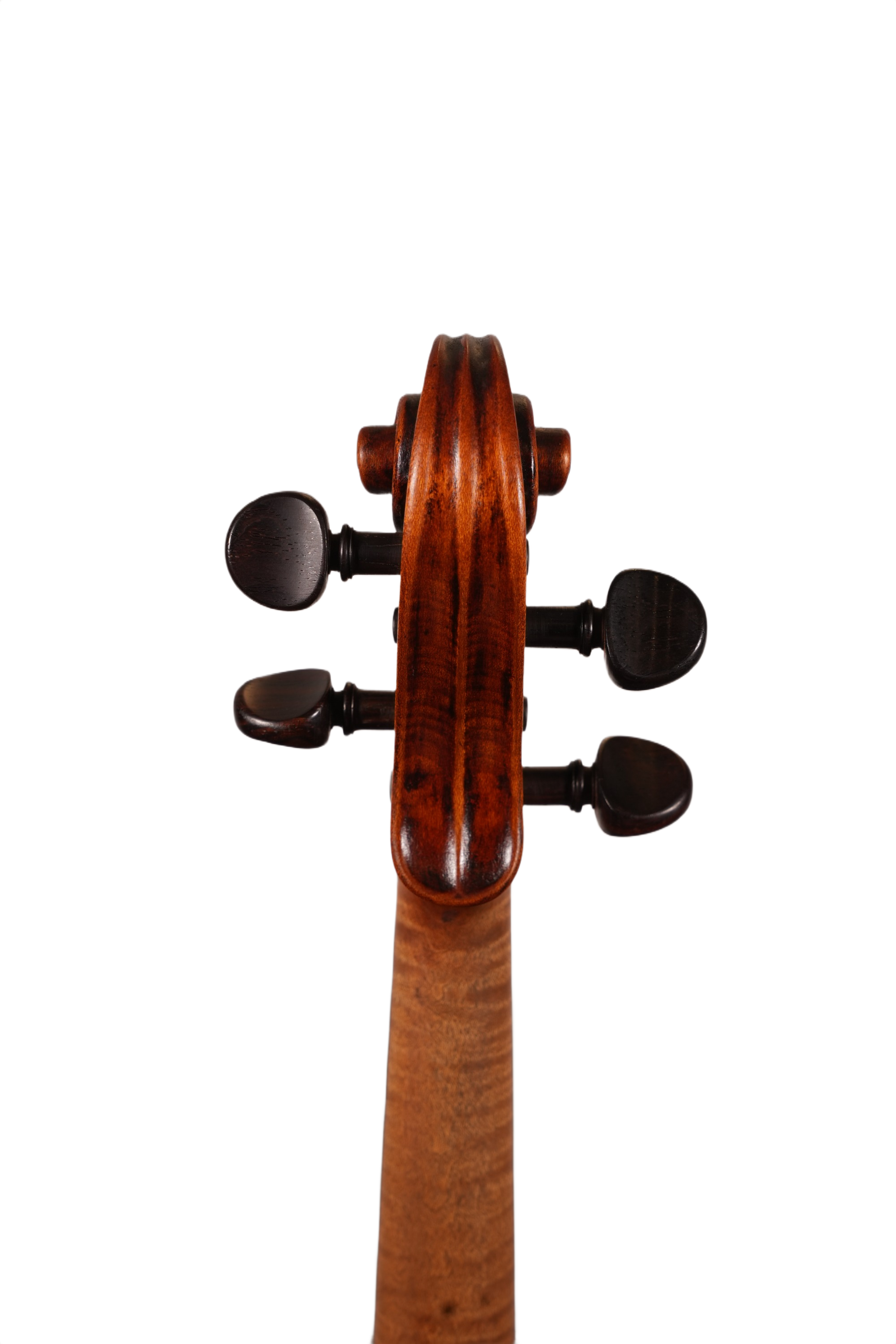 4/4 Violin Outfit - Ant. Carlotti