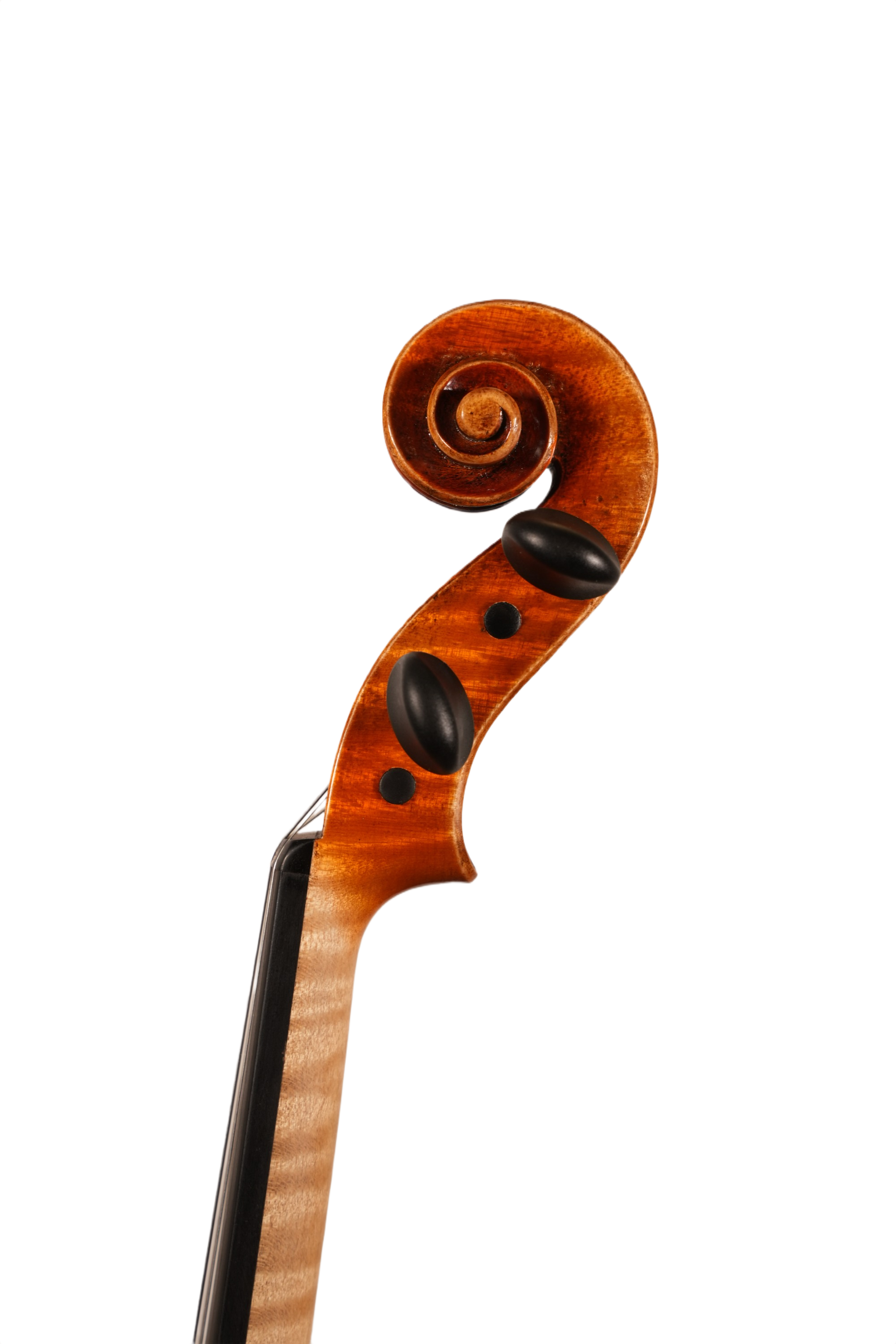 4/4 Violin Outfit - Petko Stoinov