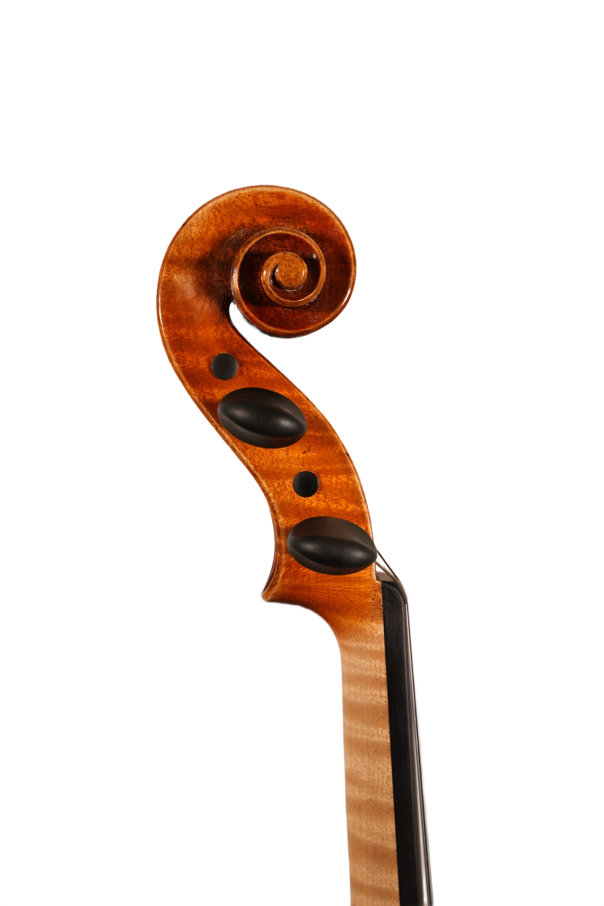 4/4 Violin Outfit - Petko Stoinov