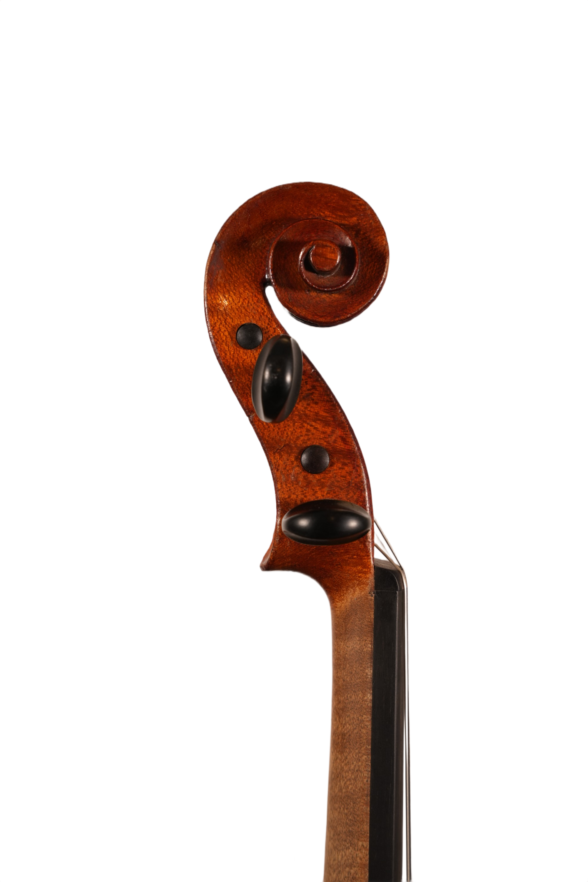 4/4 Violin Outfit - LS Model 10