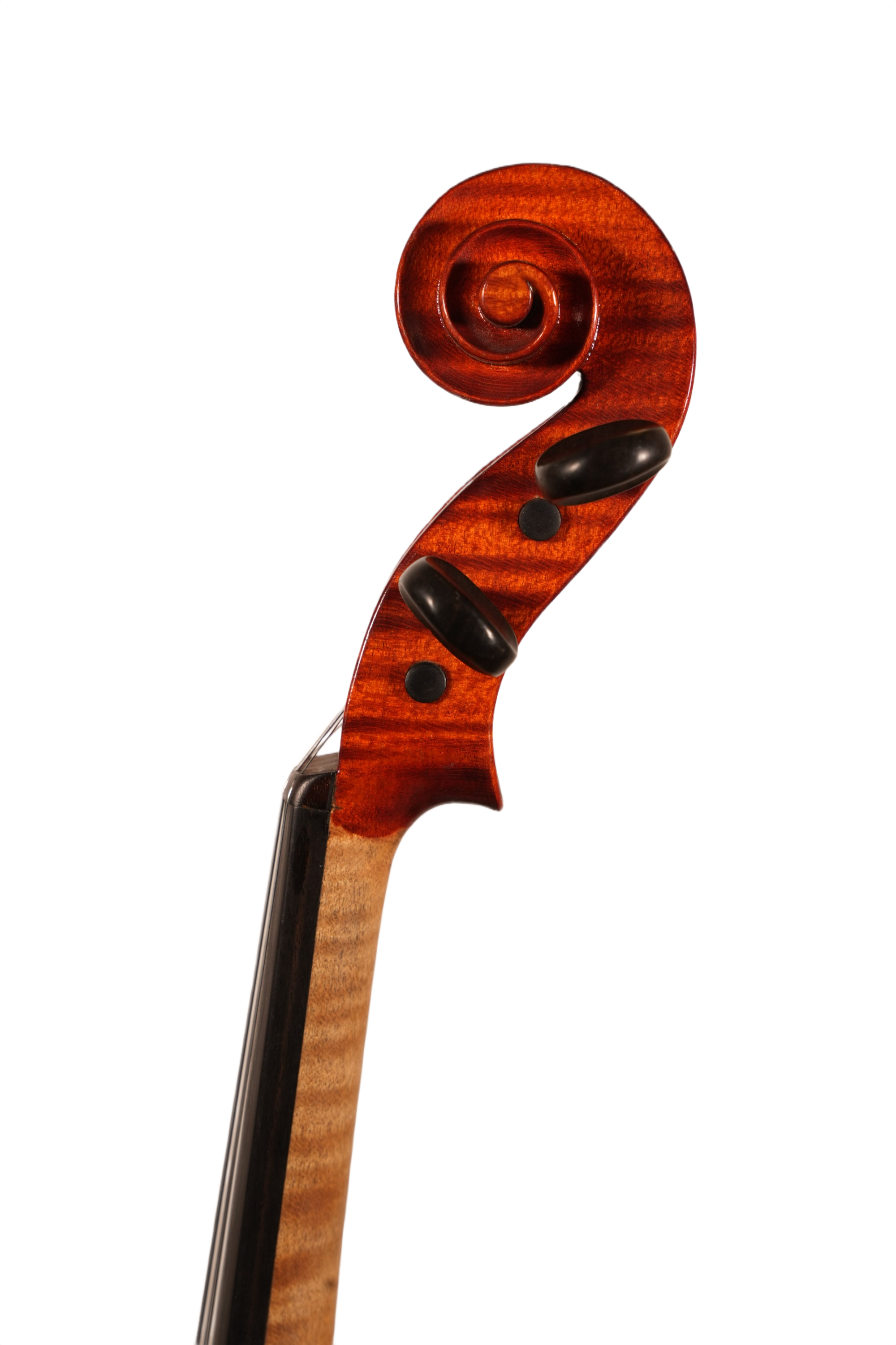 4/4 Violin - Enzo Barbieri (Italy 1991)