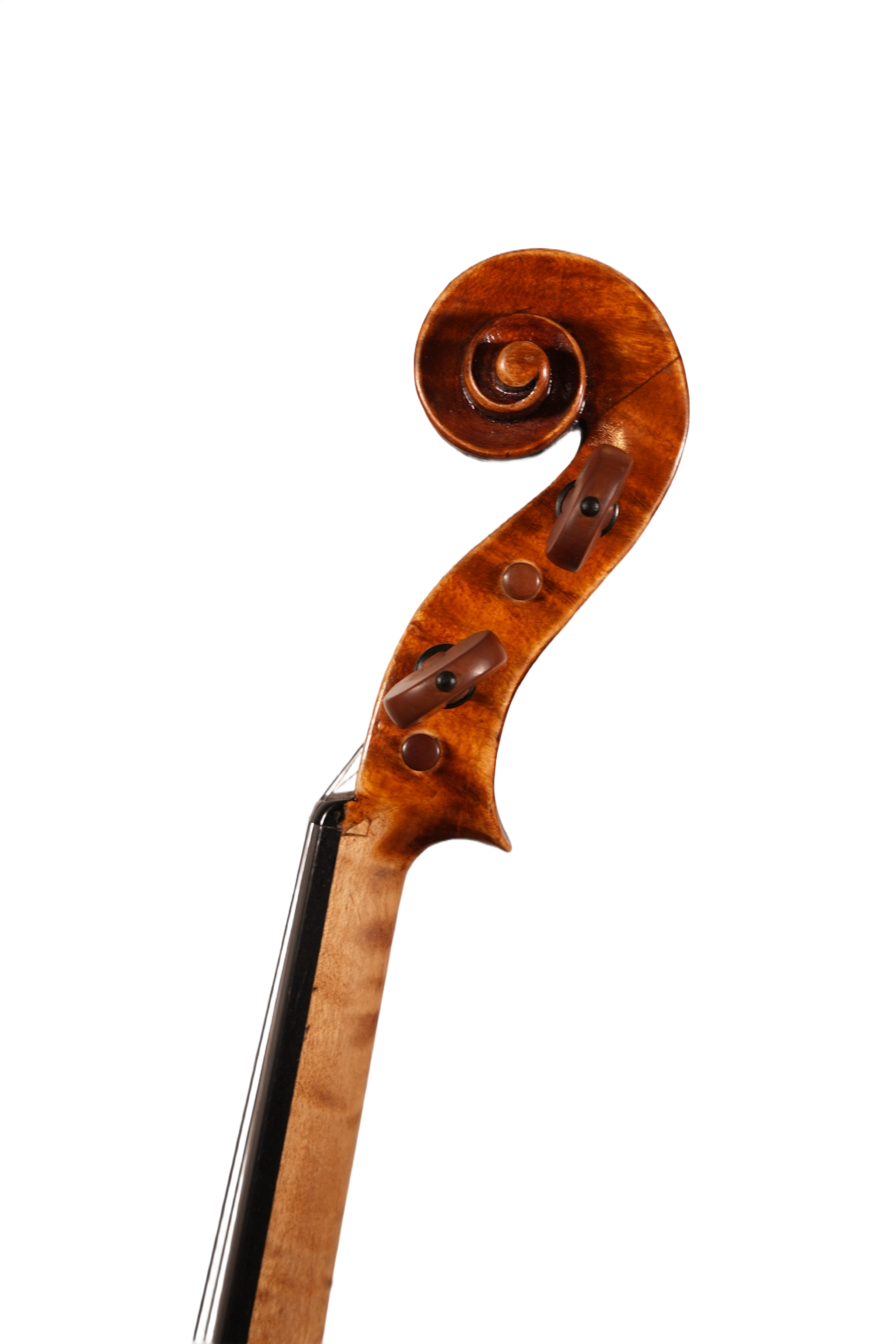 4/4 Violin Outfit - Karl Niedt (Würzburg 1917)