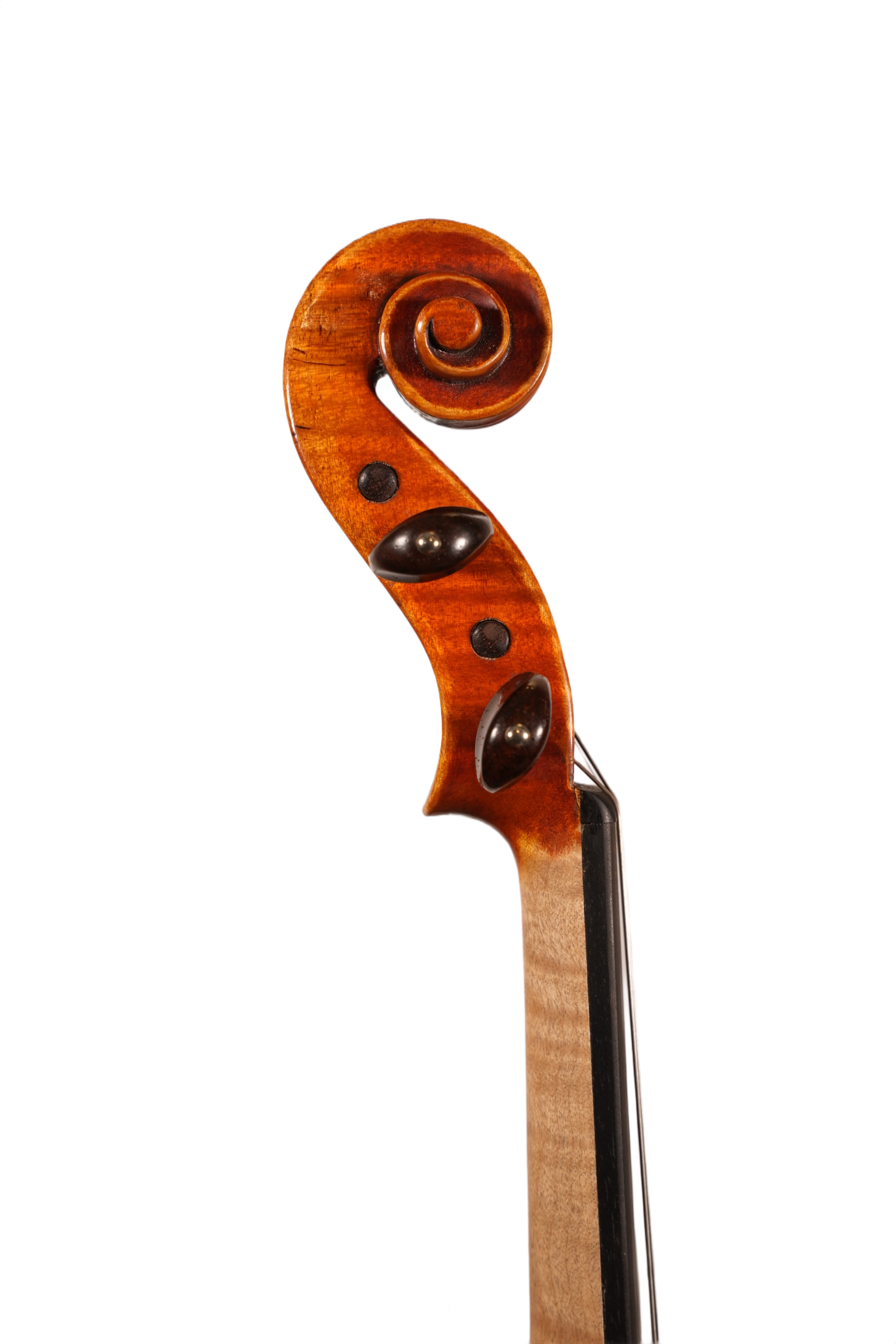 4/4 Violin Outfit - Frederich Wyss (2017)
