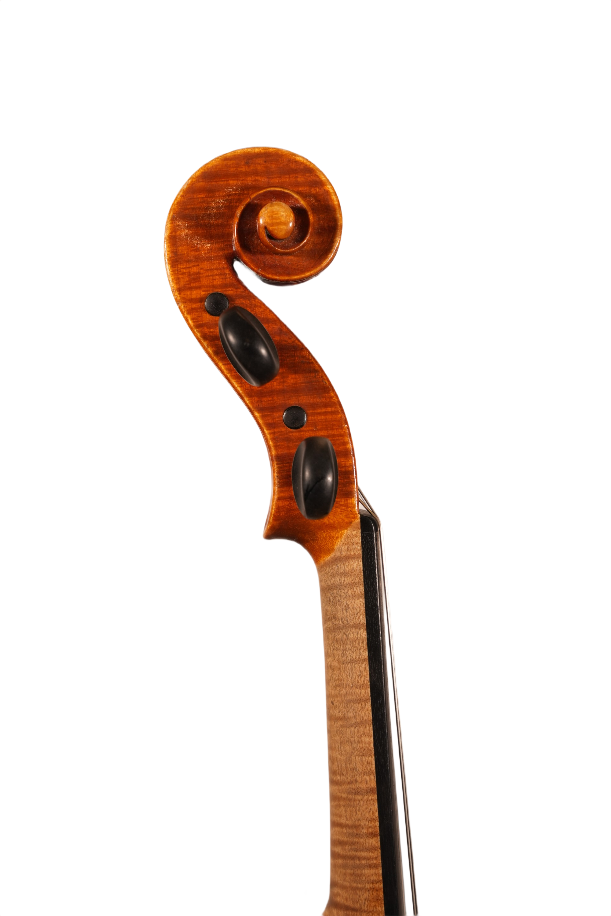 4/4 Violin Outfit - Ernst Heinrich Roth (Germany 1926)