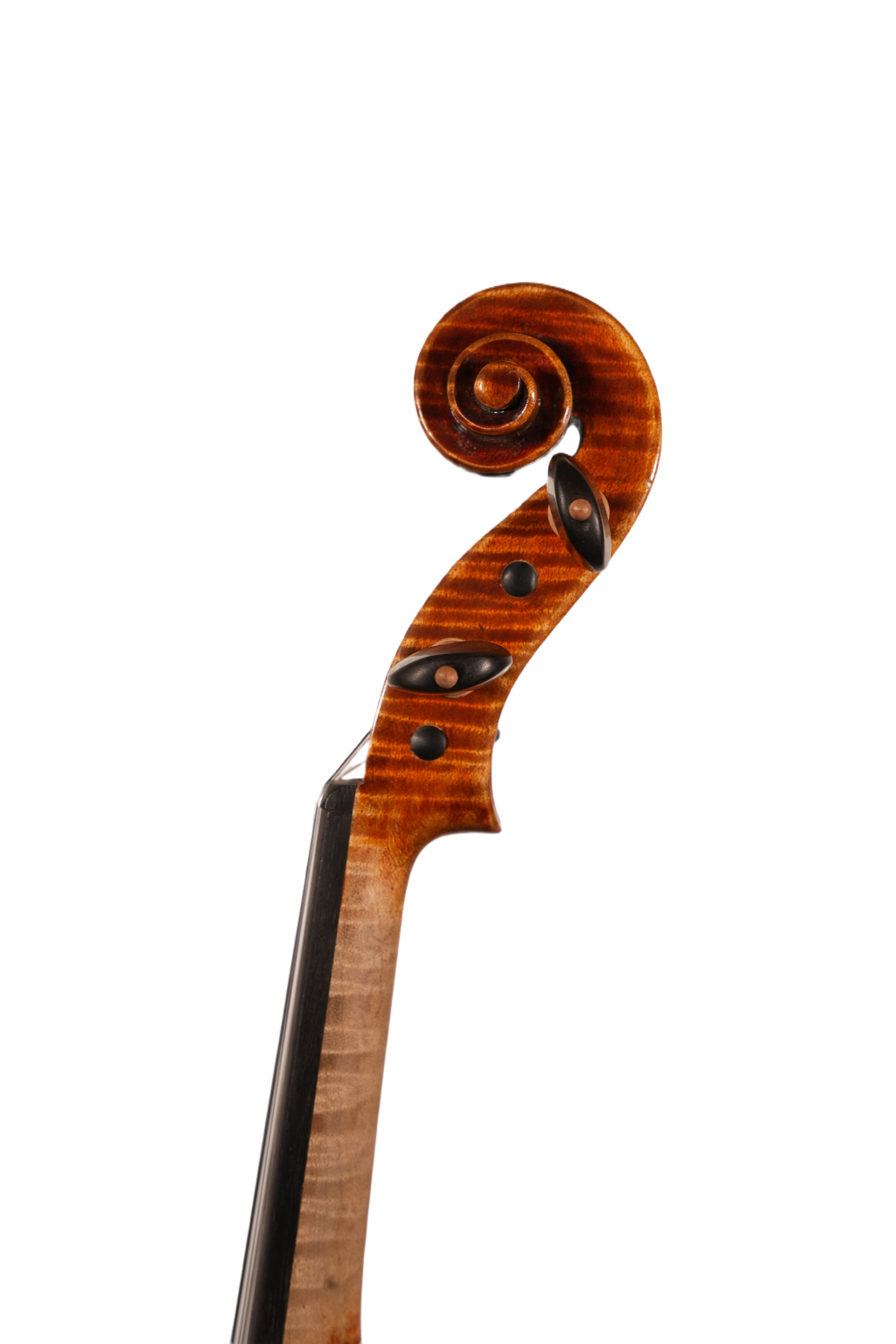 4/4 Violin Outfit - LS Model UL