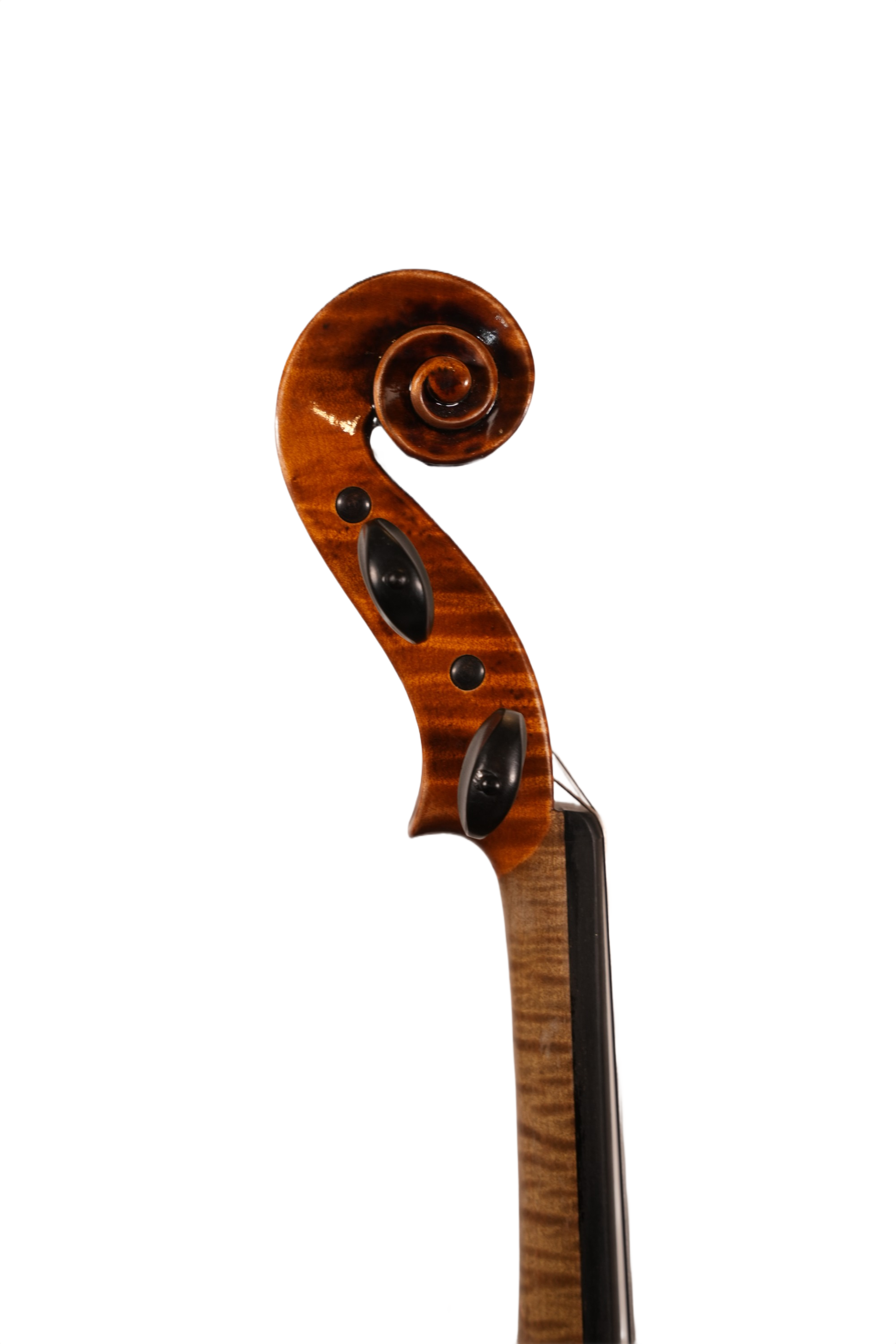 4/4 Violin Outfit - LS Model DTC8