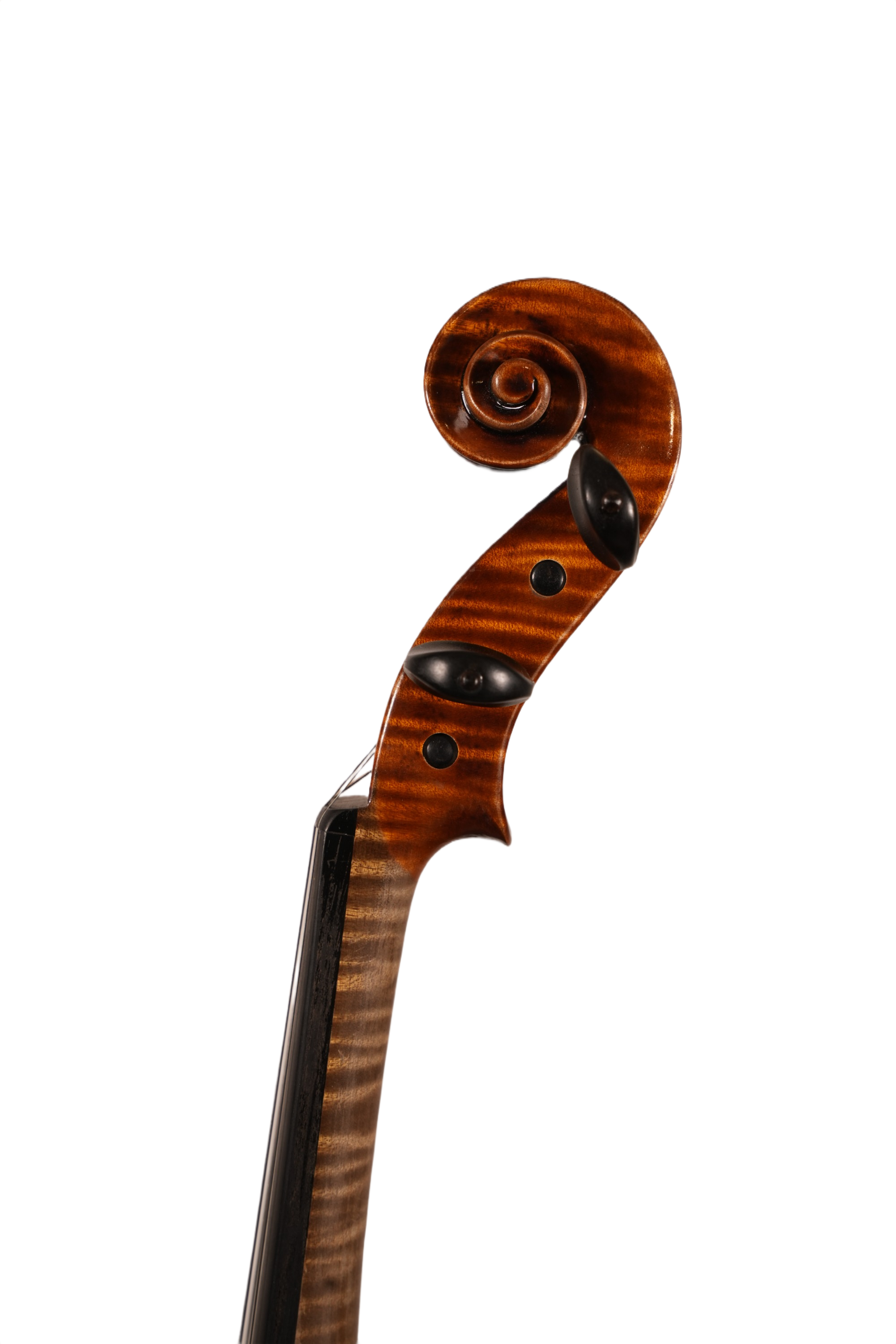 4/4 Violin Outfit - LS Model DTC8