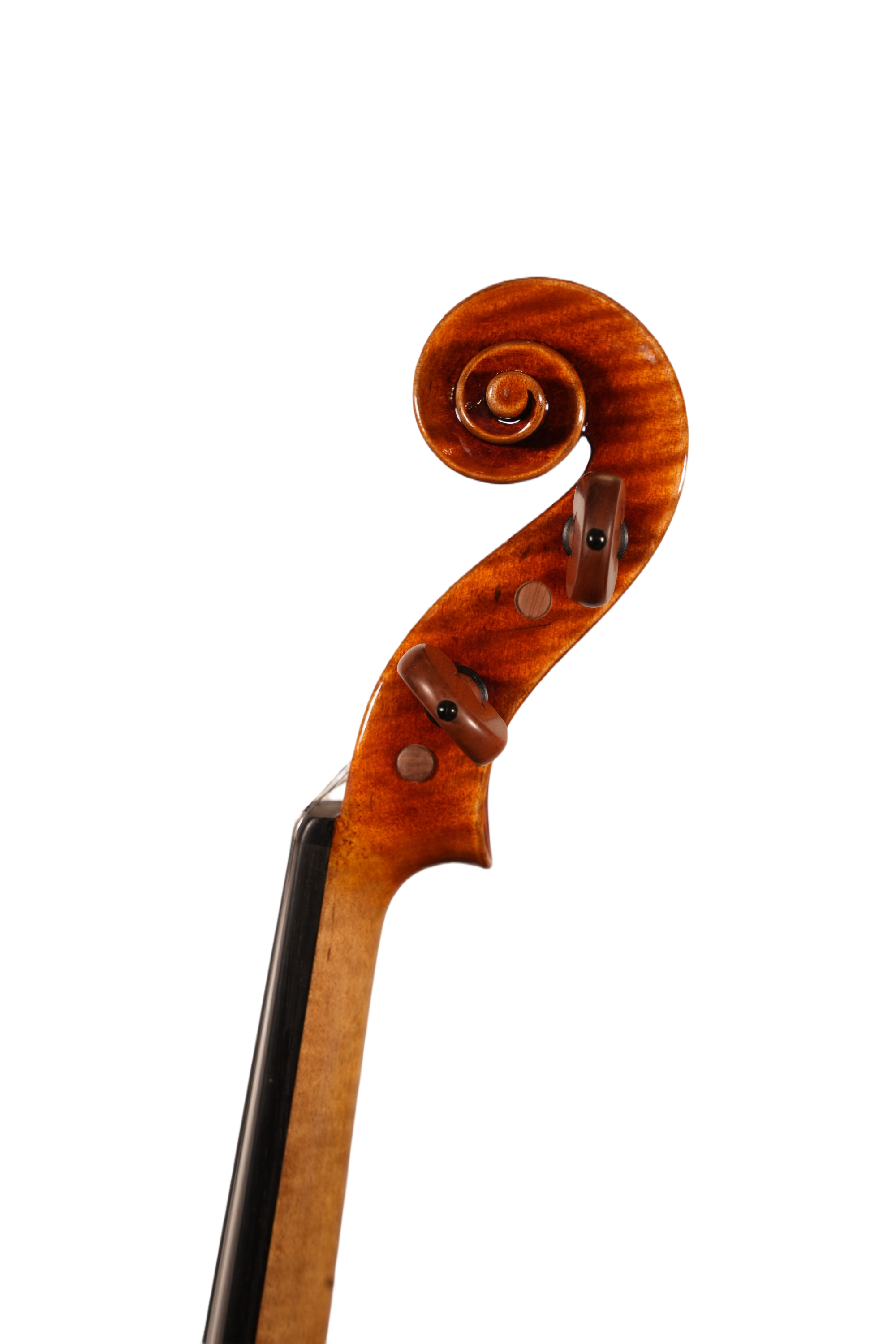4/4 Violin Outfit - Ming Jiang Zhu 905 A Model 2024