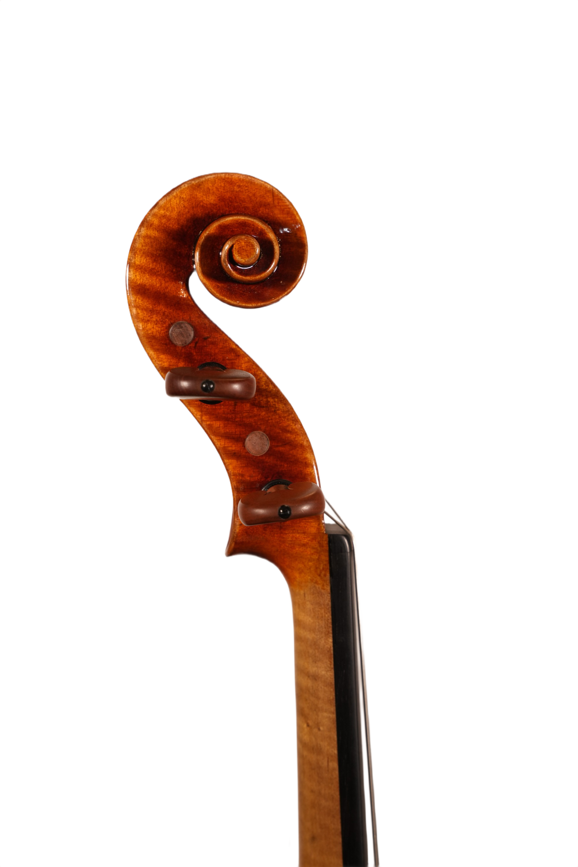 4/4 Violin Outfit - Ming Jiang Zhu 905 A Model 2024
