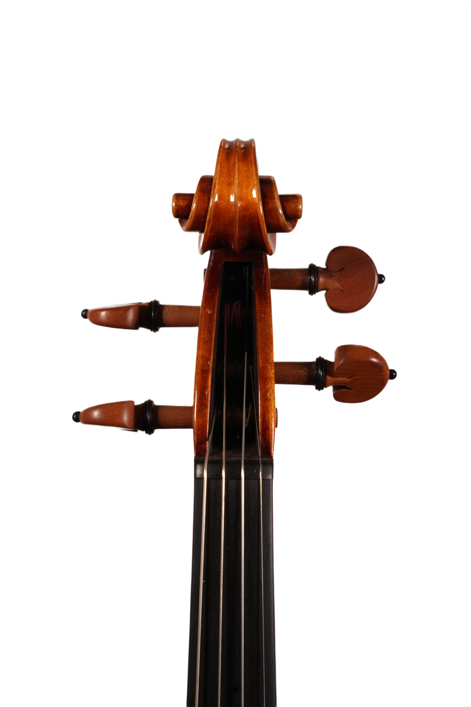4/4 Violin Outfit - Ming Jiang Zhu 905 A Model 2024